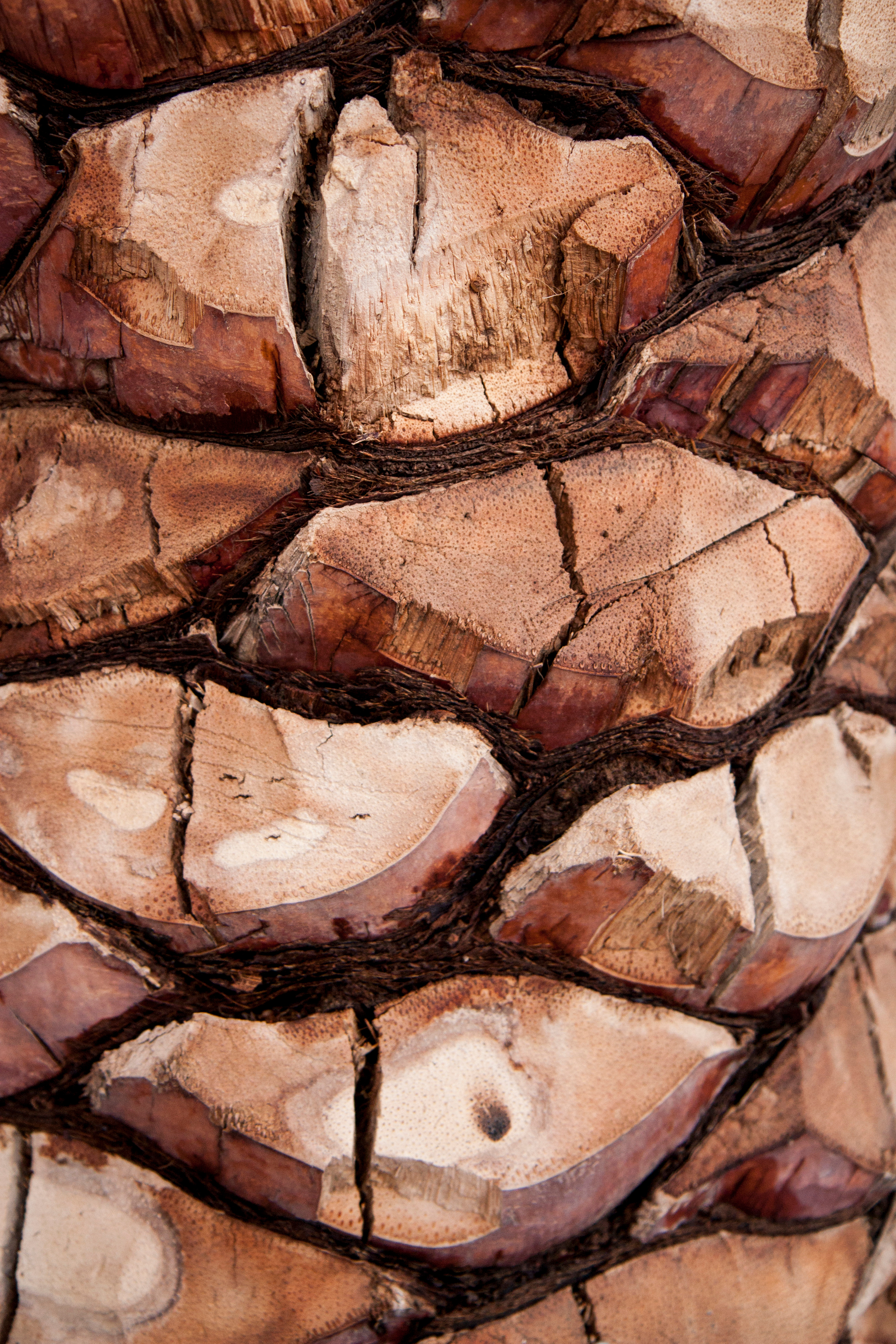 STREET. Репортажный фотограф. Москва