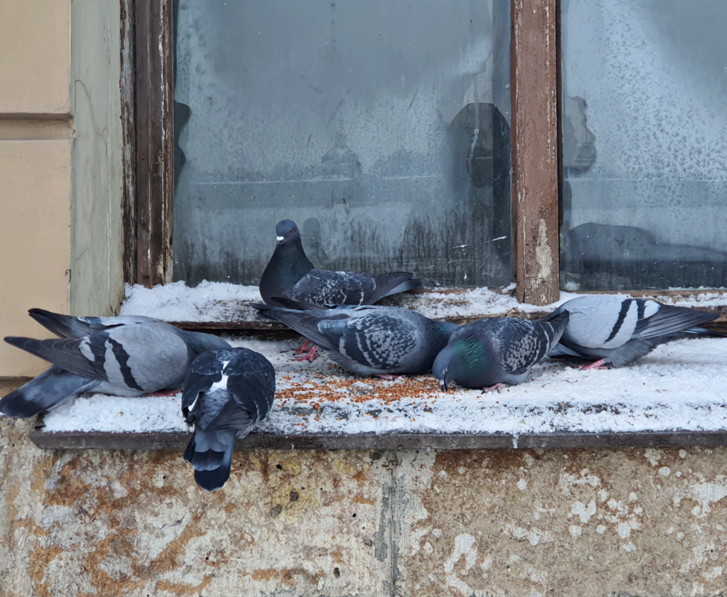 STREET. Репортажный фотограф. Москва