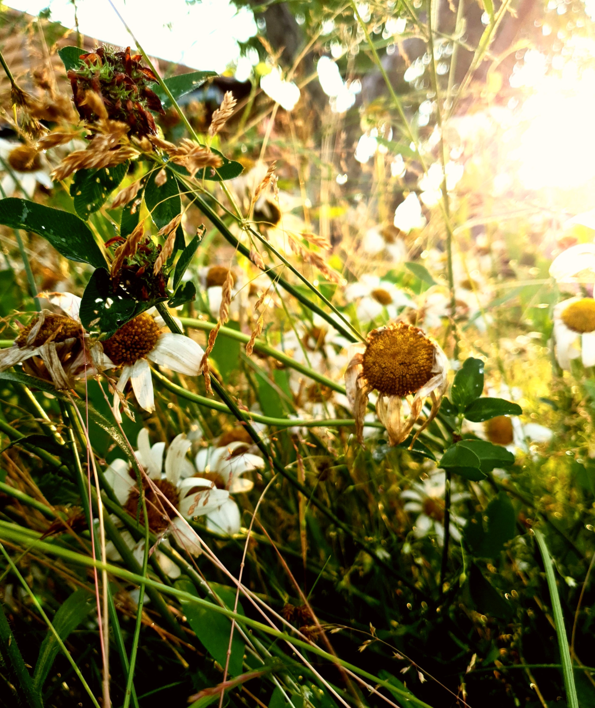 STREET. Репортажный фотограф. Москва