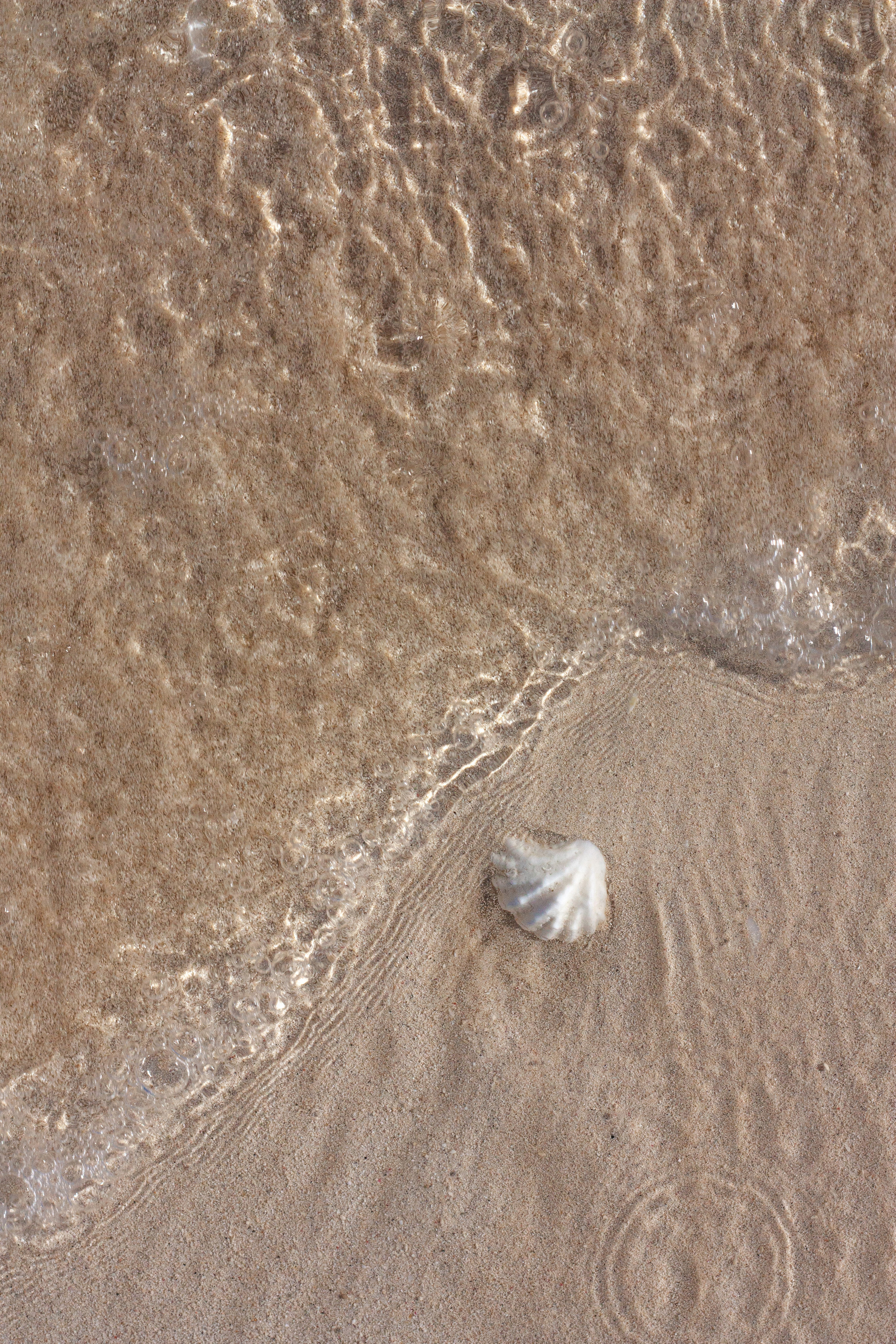 STREET. Репортажный фотограф. Москва