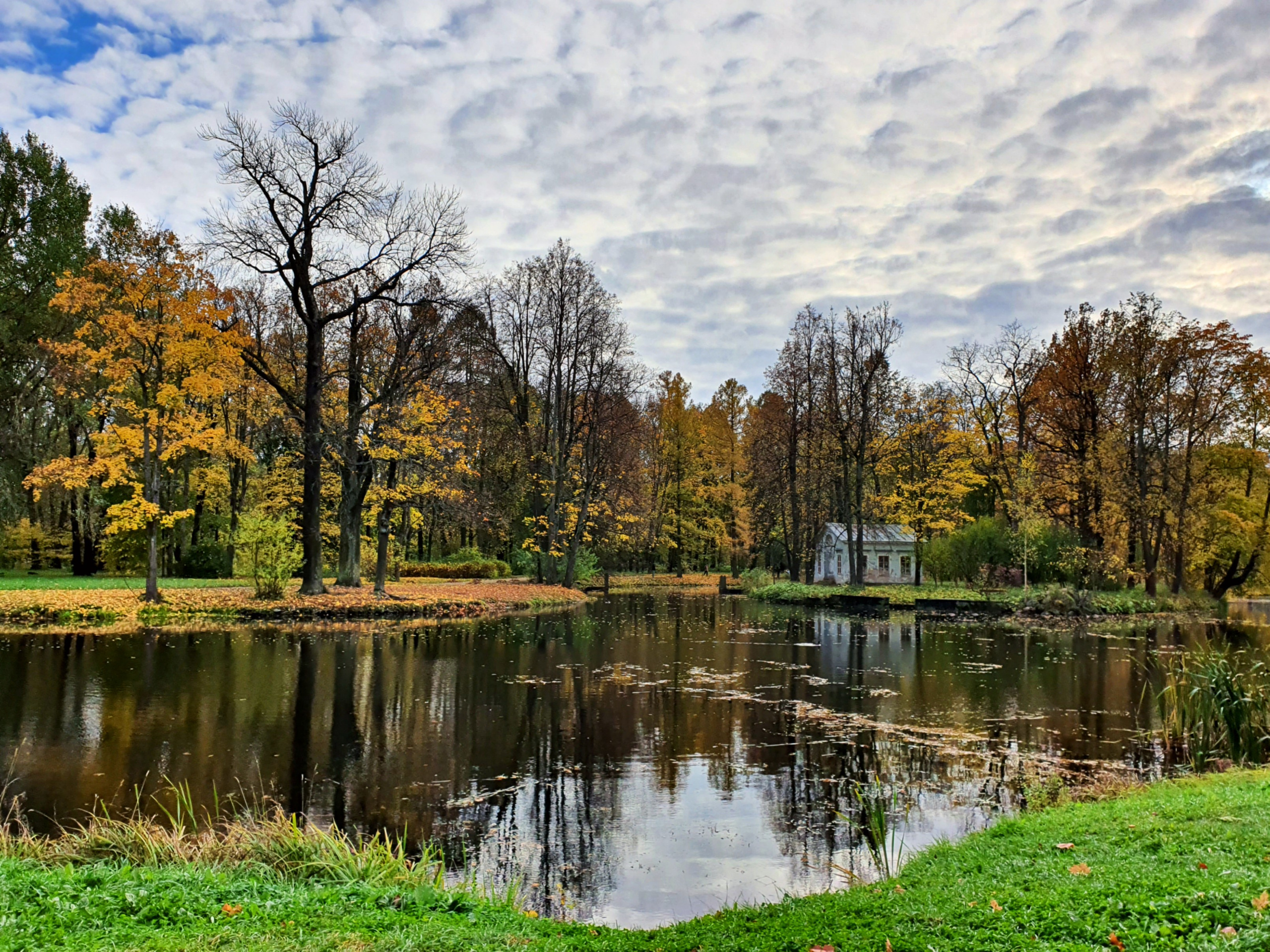 STREET. Репортажный фотограф. Москва