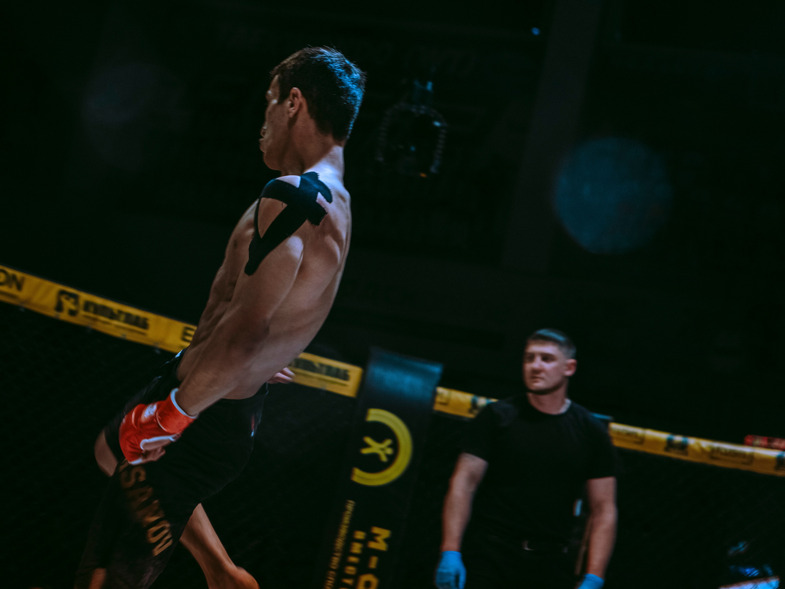 SFL 17 | Siberian Fighting League. Портретный фотограф в Москве Дарья Цезария