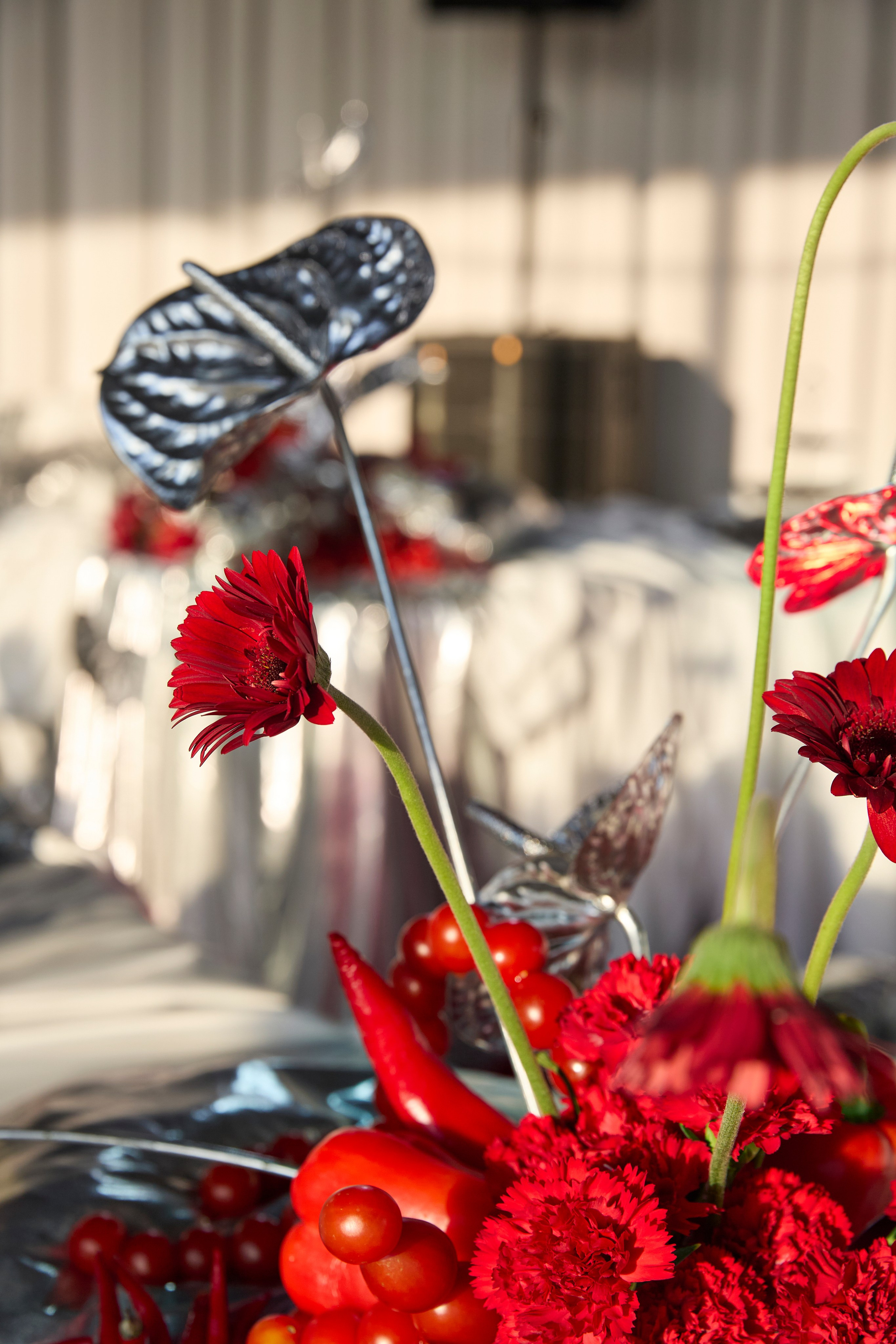 Роял Бич. Свадебный фотограф Анастасия Казакова