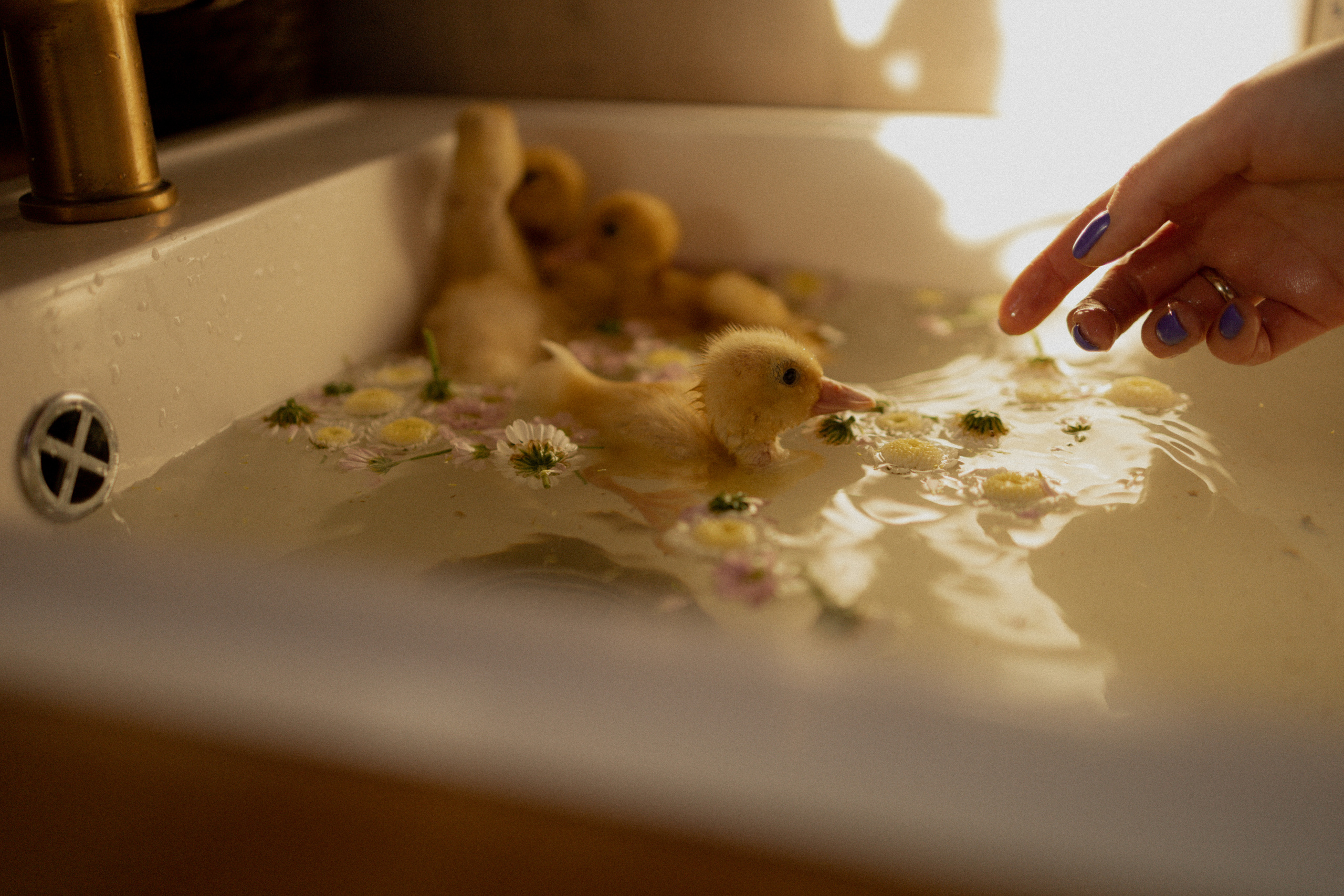 Портфолио. Фотограф by.zarina. Фотограф Зарина. Казань