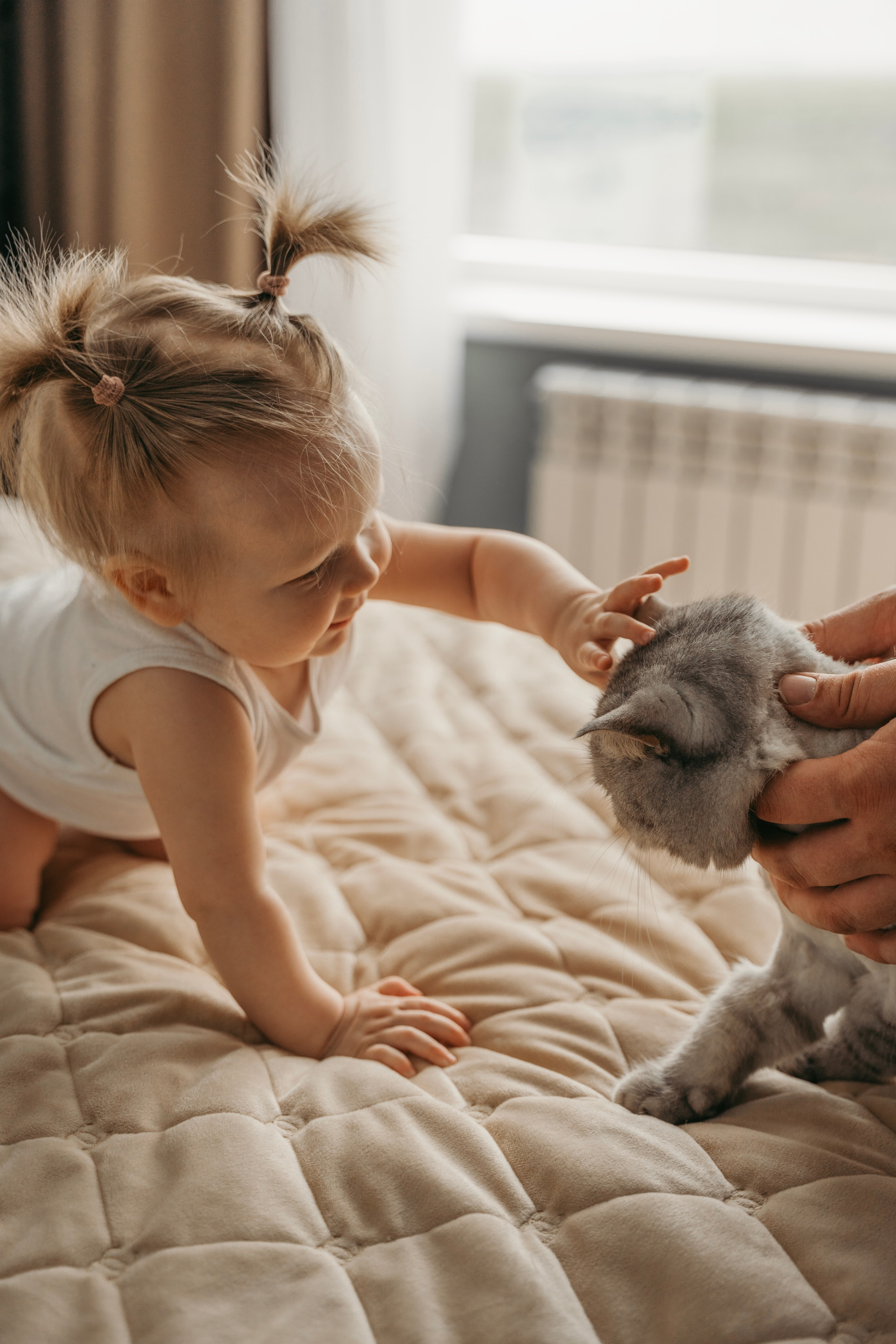 Дома. Фотограф Волгоград Ксения Устинова