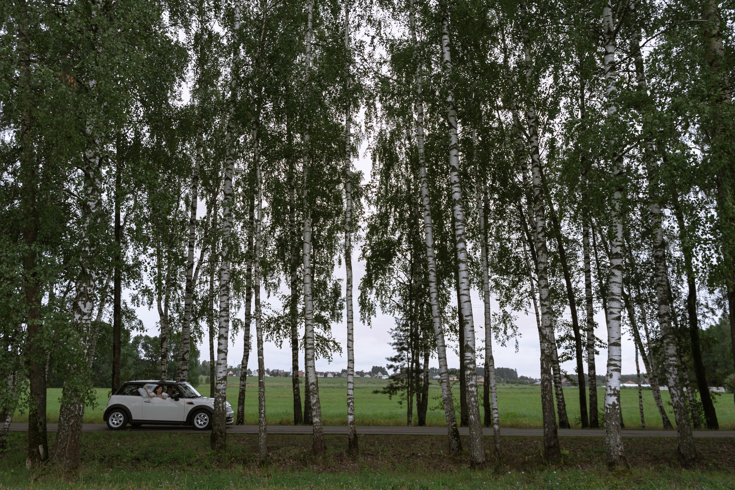 Give me a kiss. Свадебный фотограф в Москве Мария Кривоногова