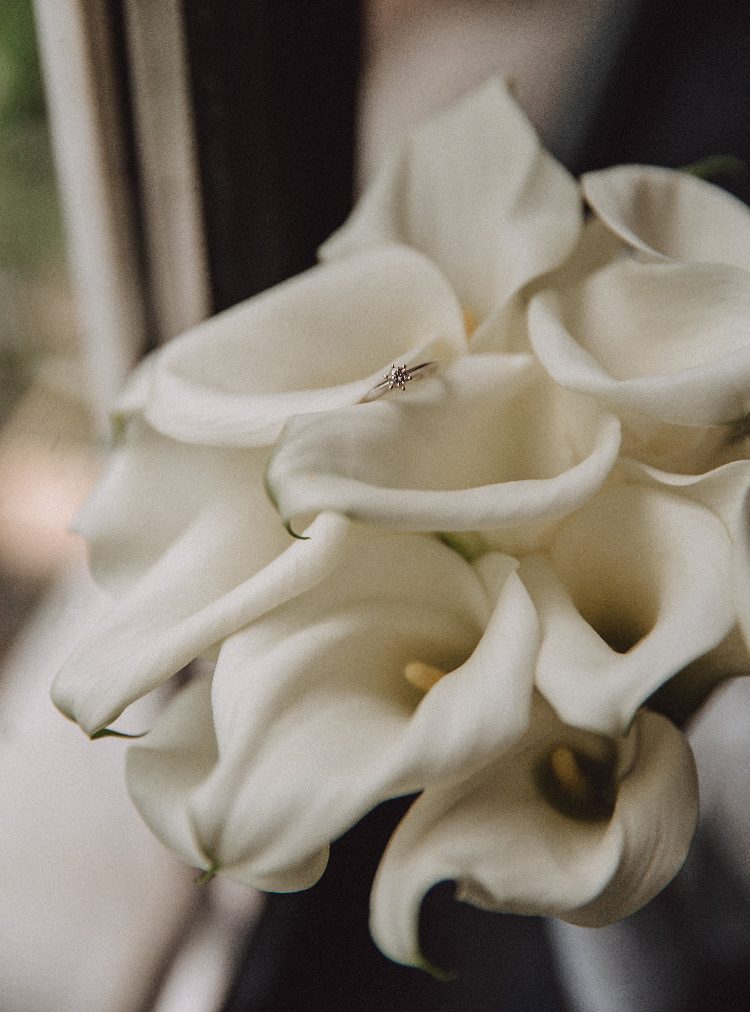 Анаид & Карен. Фотограф в Краснодаре и Краснодарском крае