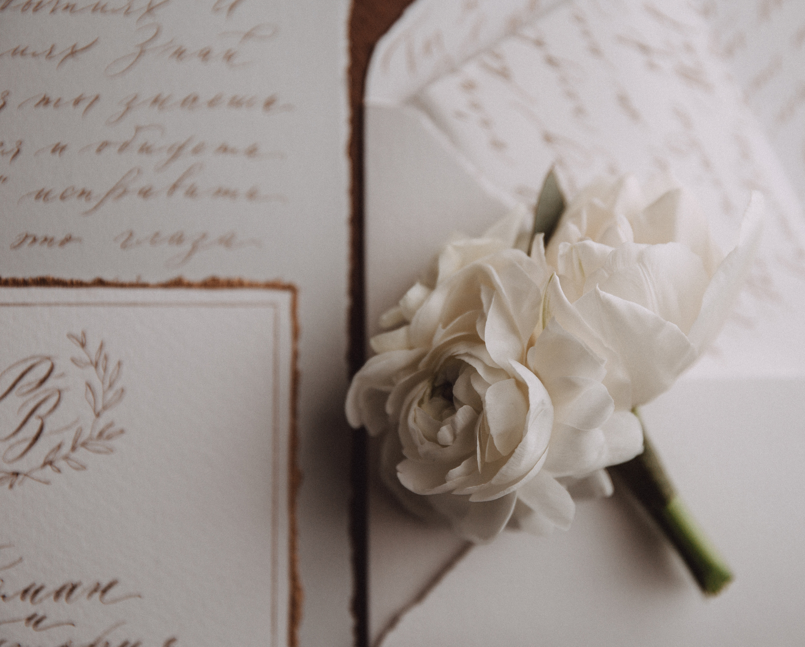 Виктория & Роман. Фотограф в Краснодаре и Краснодарском крае