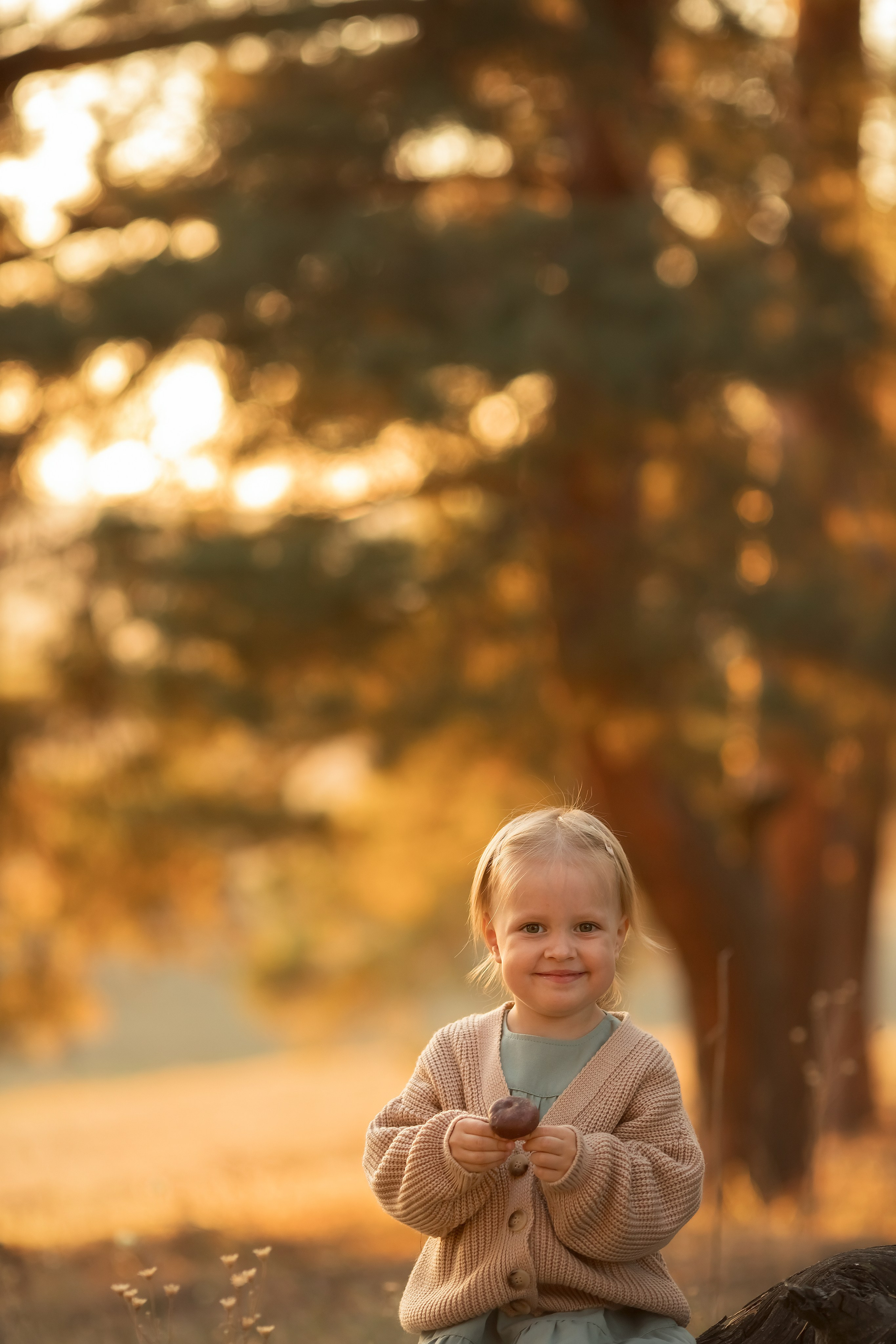Лесная прогулка. Семейный и детский фотограф в Саратове Полина Коткина