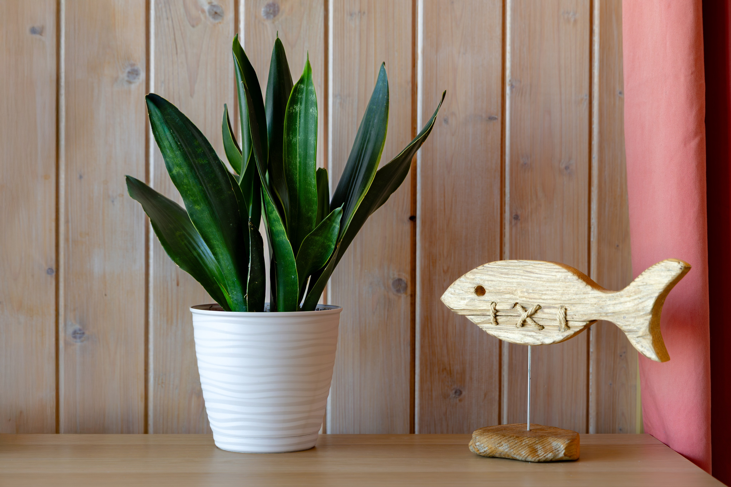 Бутик-отель Заонежье». Аэросъемка. Фото и Видео в Карелии. Алексей Фрилунд