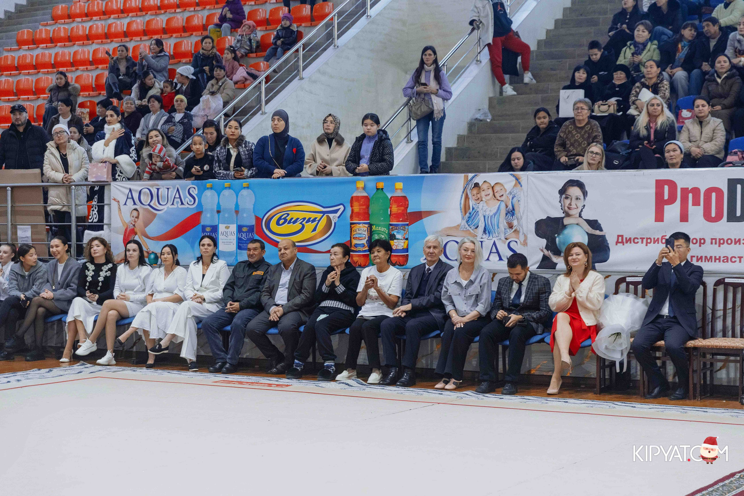 Гимнастика