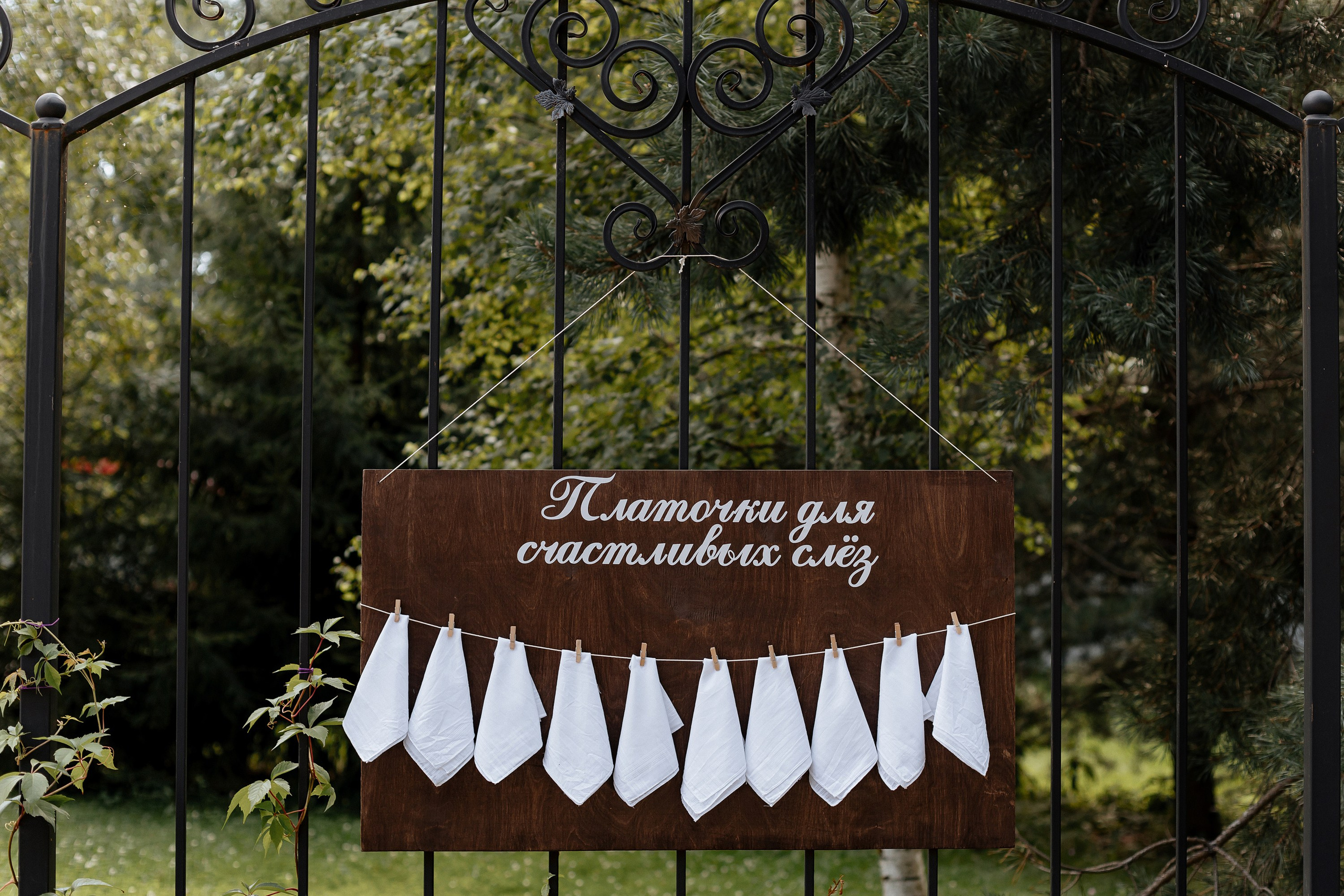 Софья и Леонид. Свадебный фотограф Анастасия Пелевина