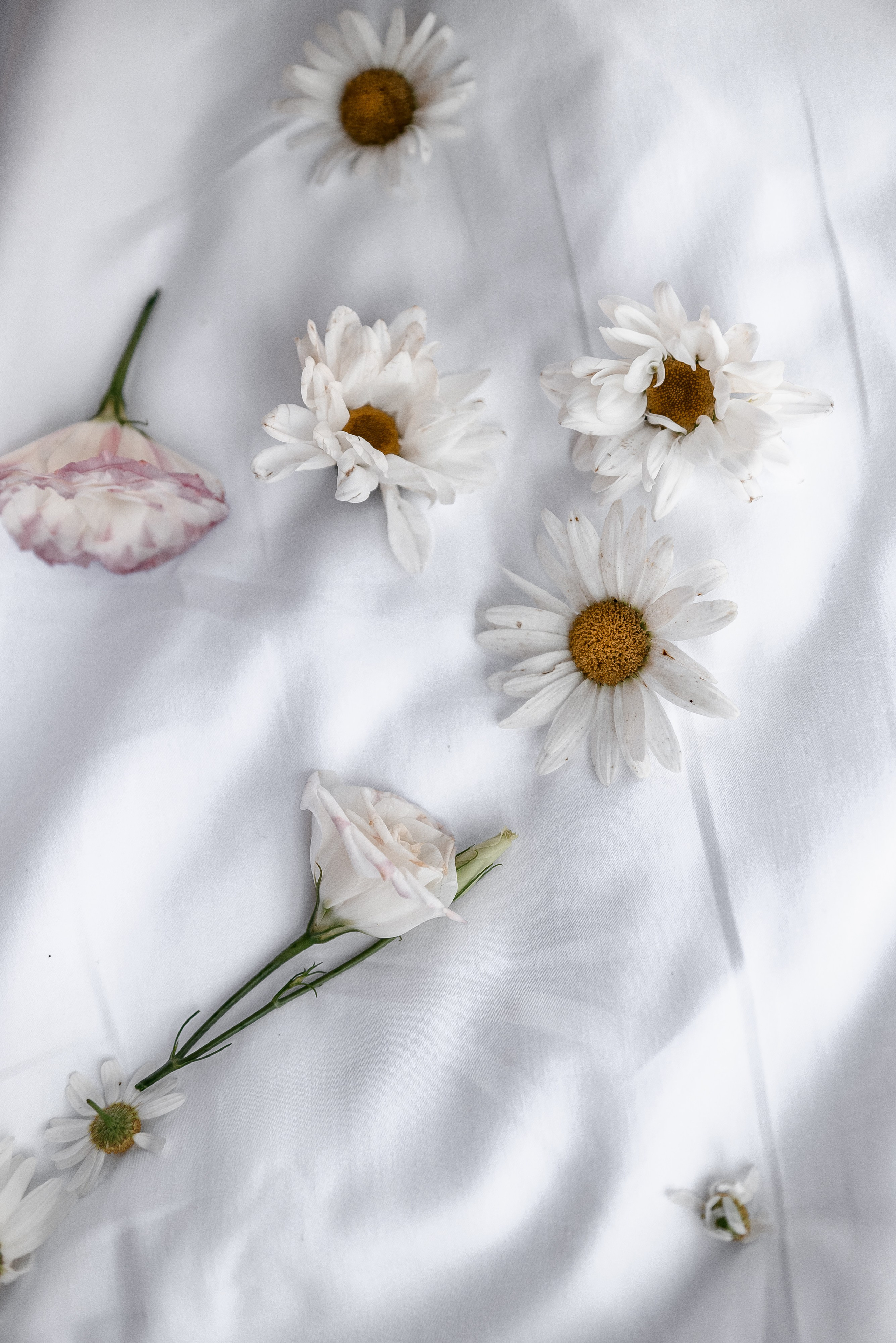 Михаил и Диана. Фотограф Анна Абрикосова