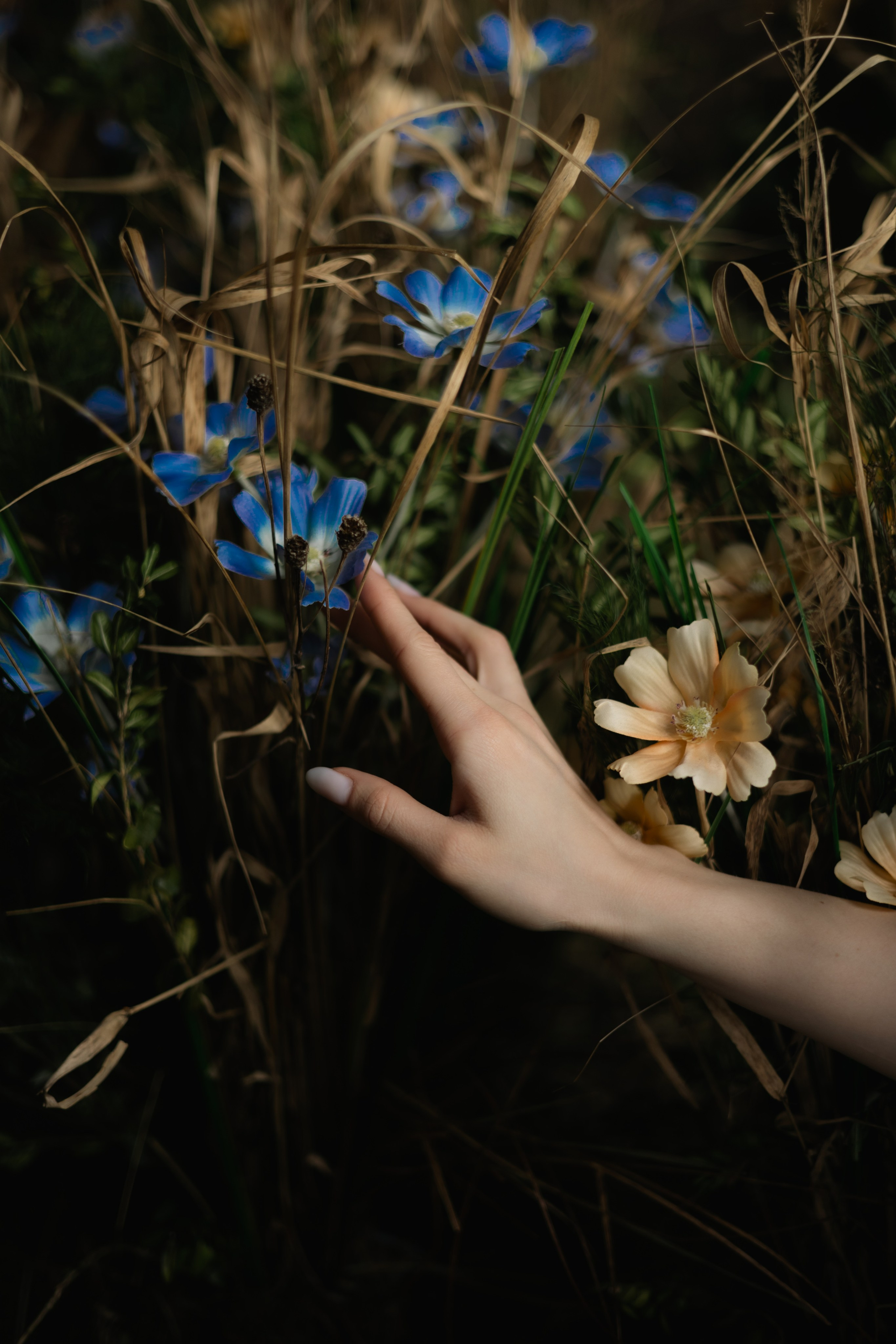 Луч солнца. Фотограф в Москве Дарья Гоглева