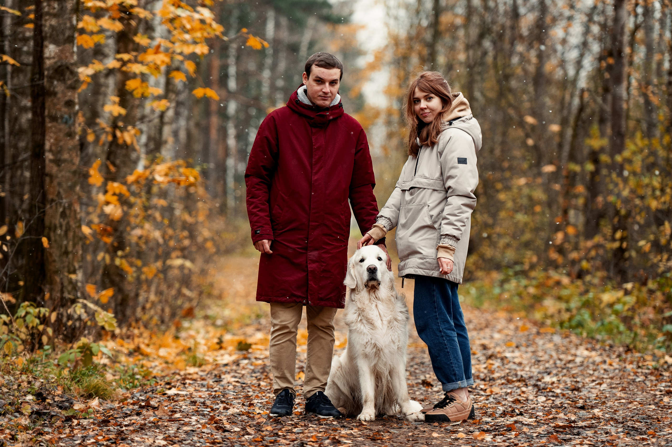 Айс и золотая осень. Фотограф-анималист