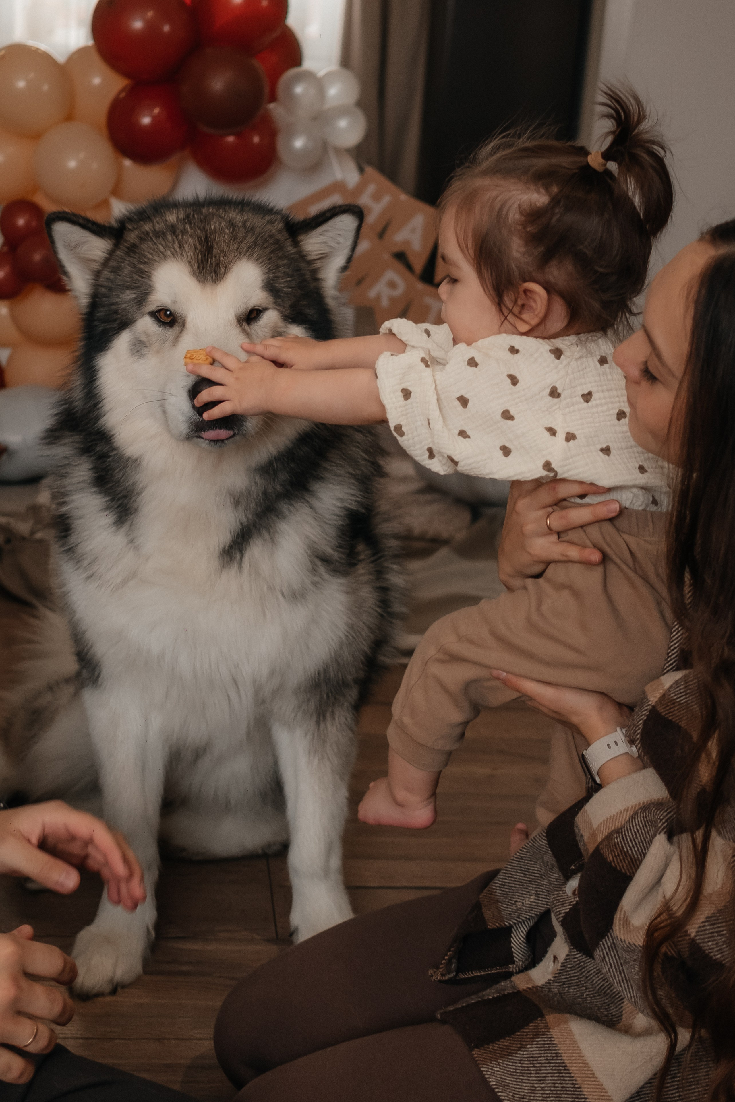 Катя, Саша и Еся | домашняя съемка. Фотограф в Новосибирске Диана Ильиных