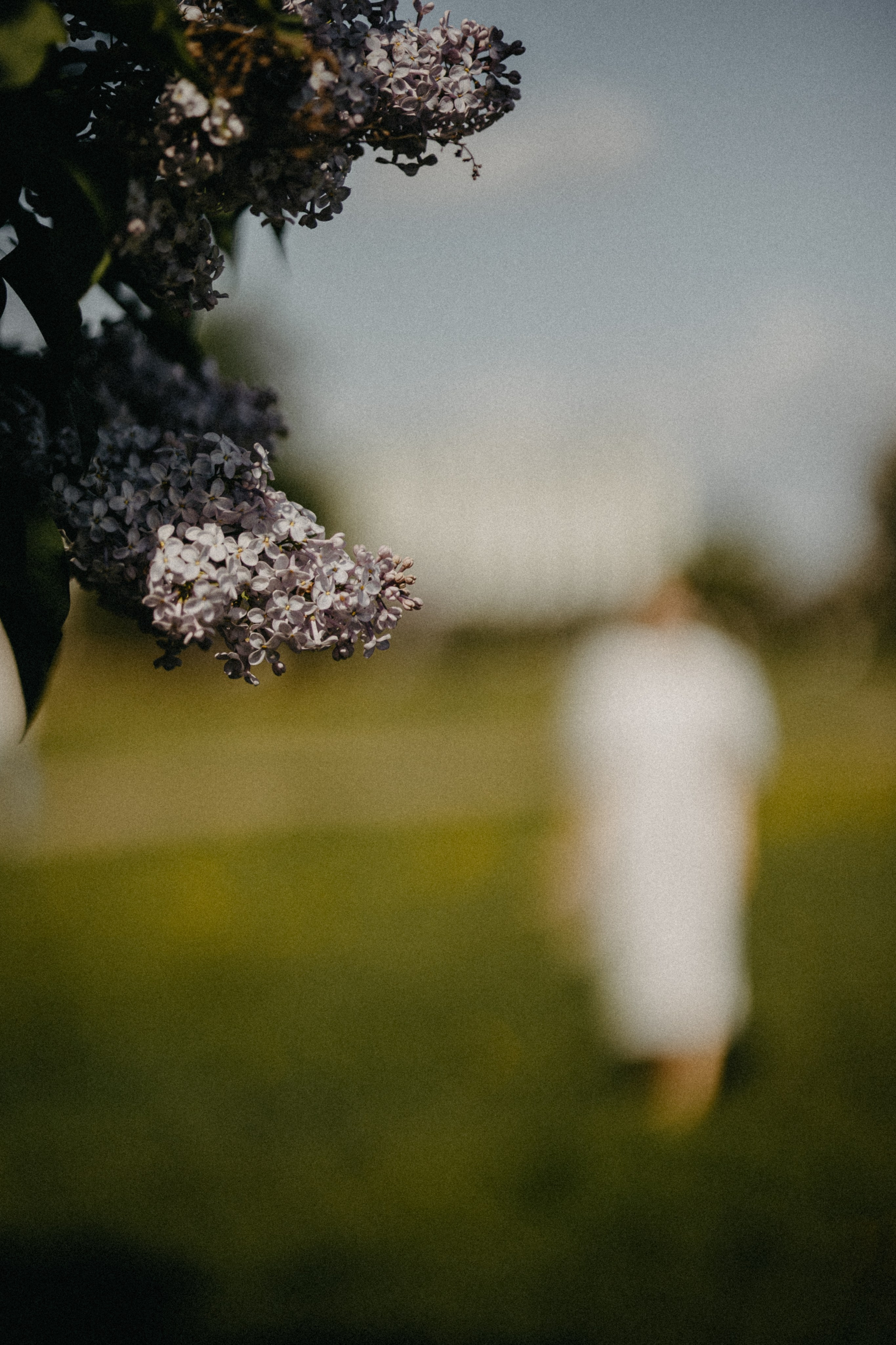 Денис и Альбина | Очаровательно!. Свадебный фотограф в Санкт-Петербурге Анастасия Селиванова