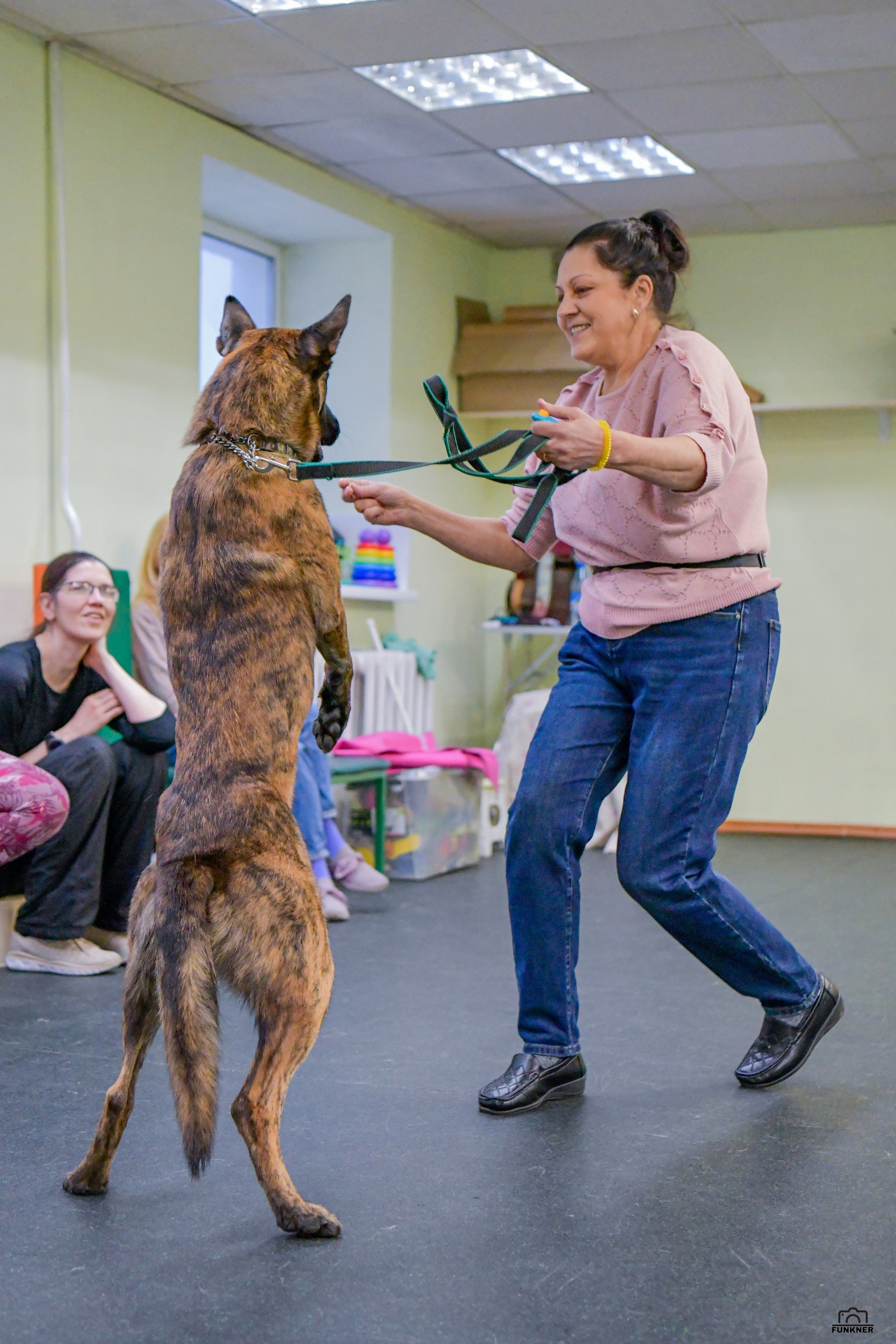 Кинологический клуб «Бодрый хвост». Свой взгляд через объектив