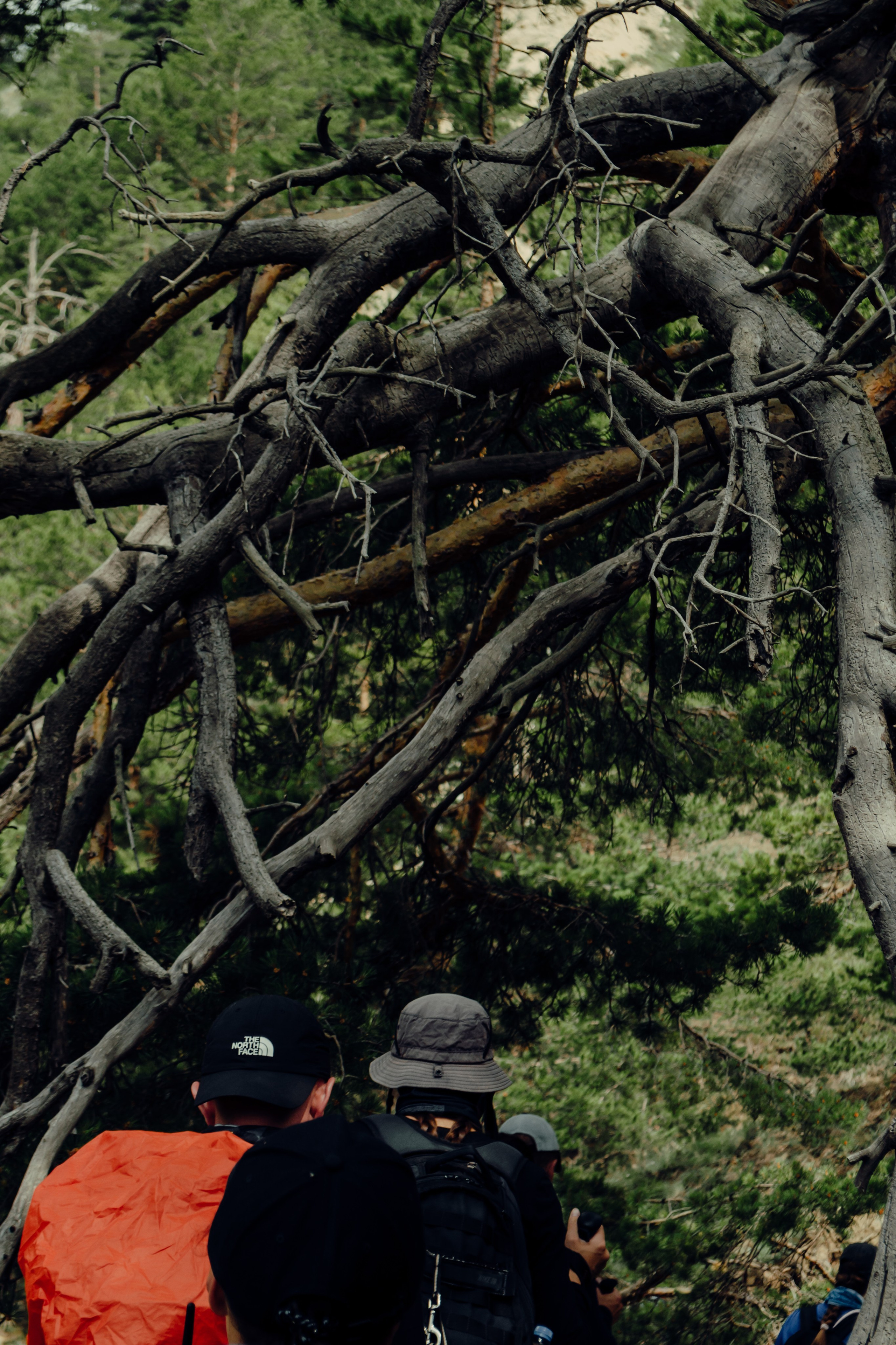 Ущелье Ирик-Чат. Фотограф Настя | Экспедиции и лайфстайл