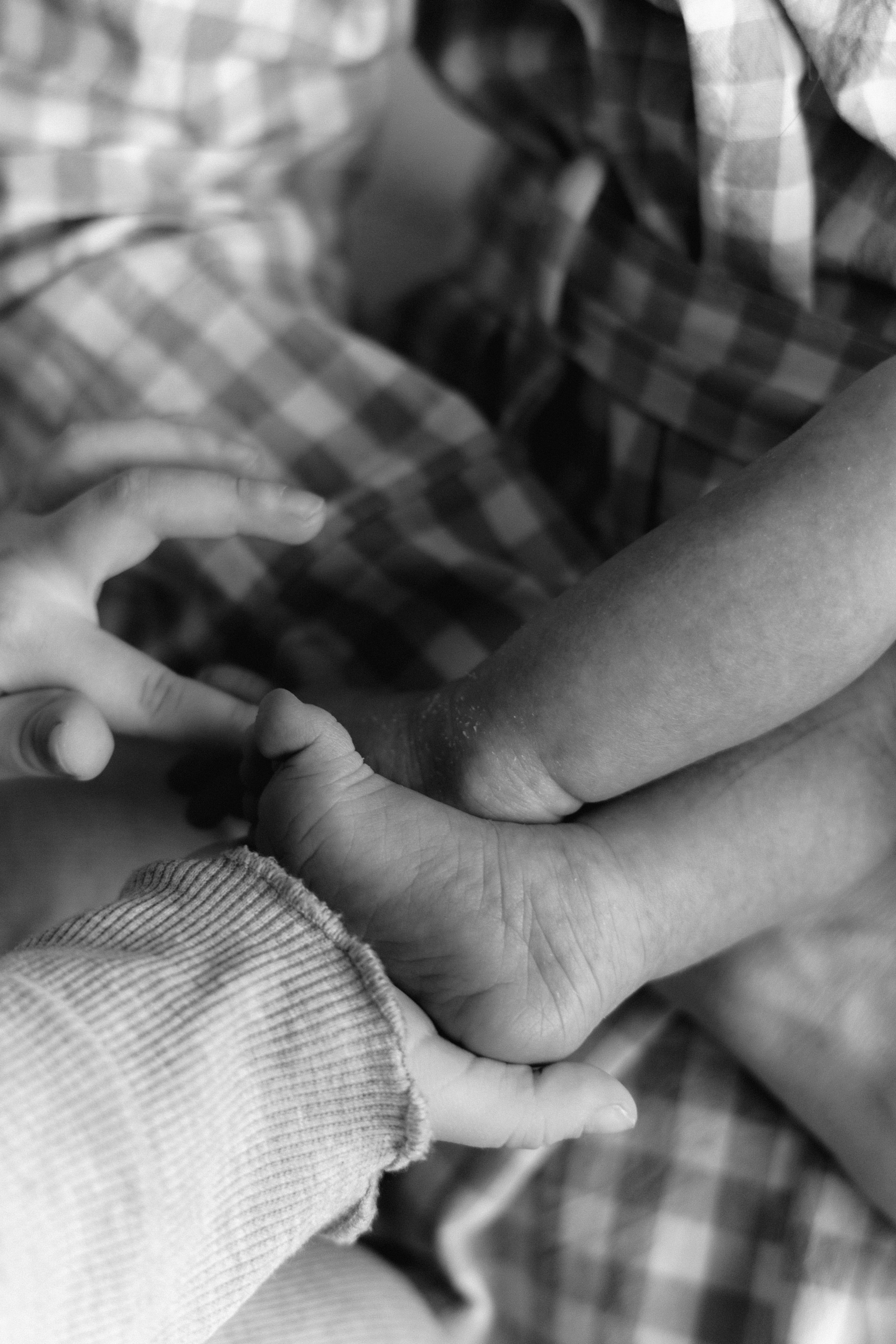 Тея. Фотограф Юлия Абдульмянова