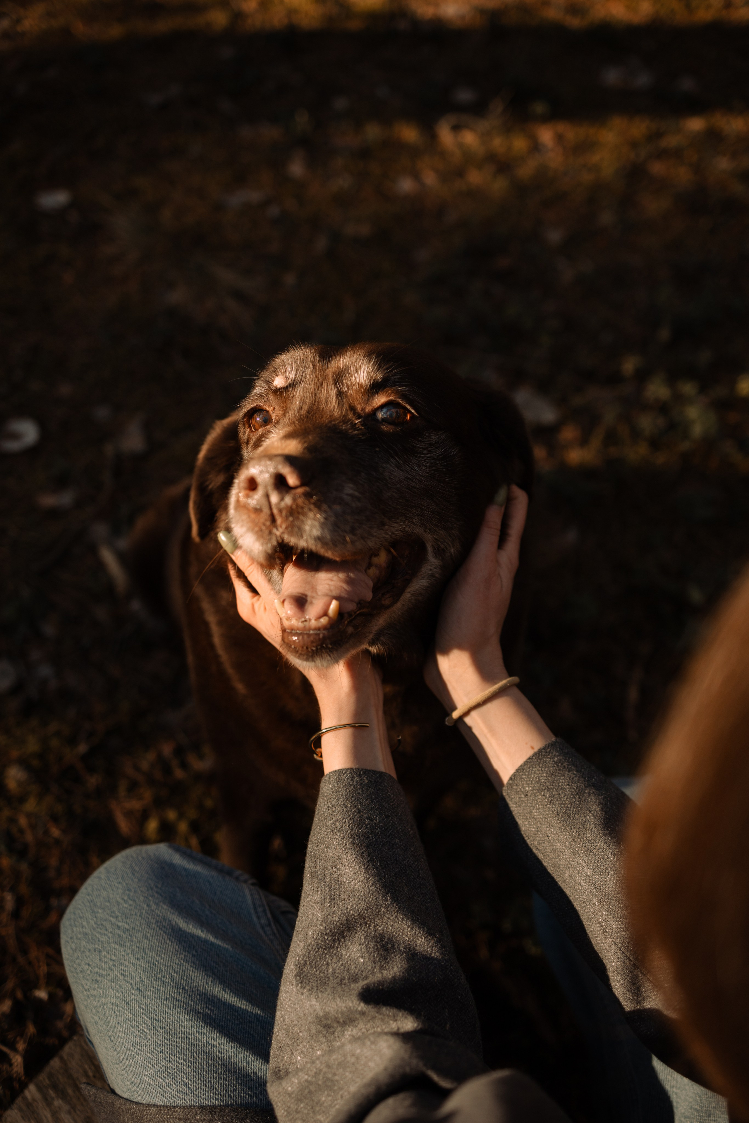 Оля и Питоня. Фотограф — Анималист | Санкт-Петербург