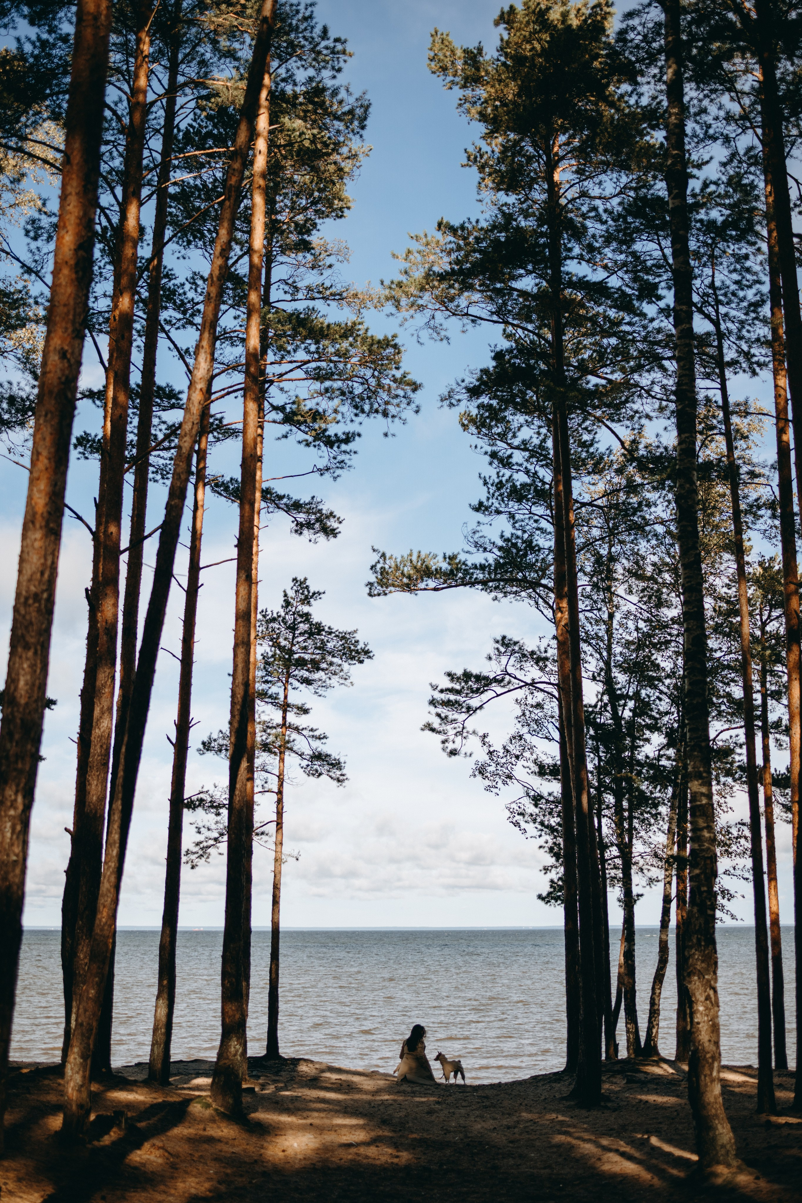 Алиса и Лео. Фотограф — Анималист | Санкт-Петербург