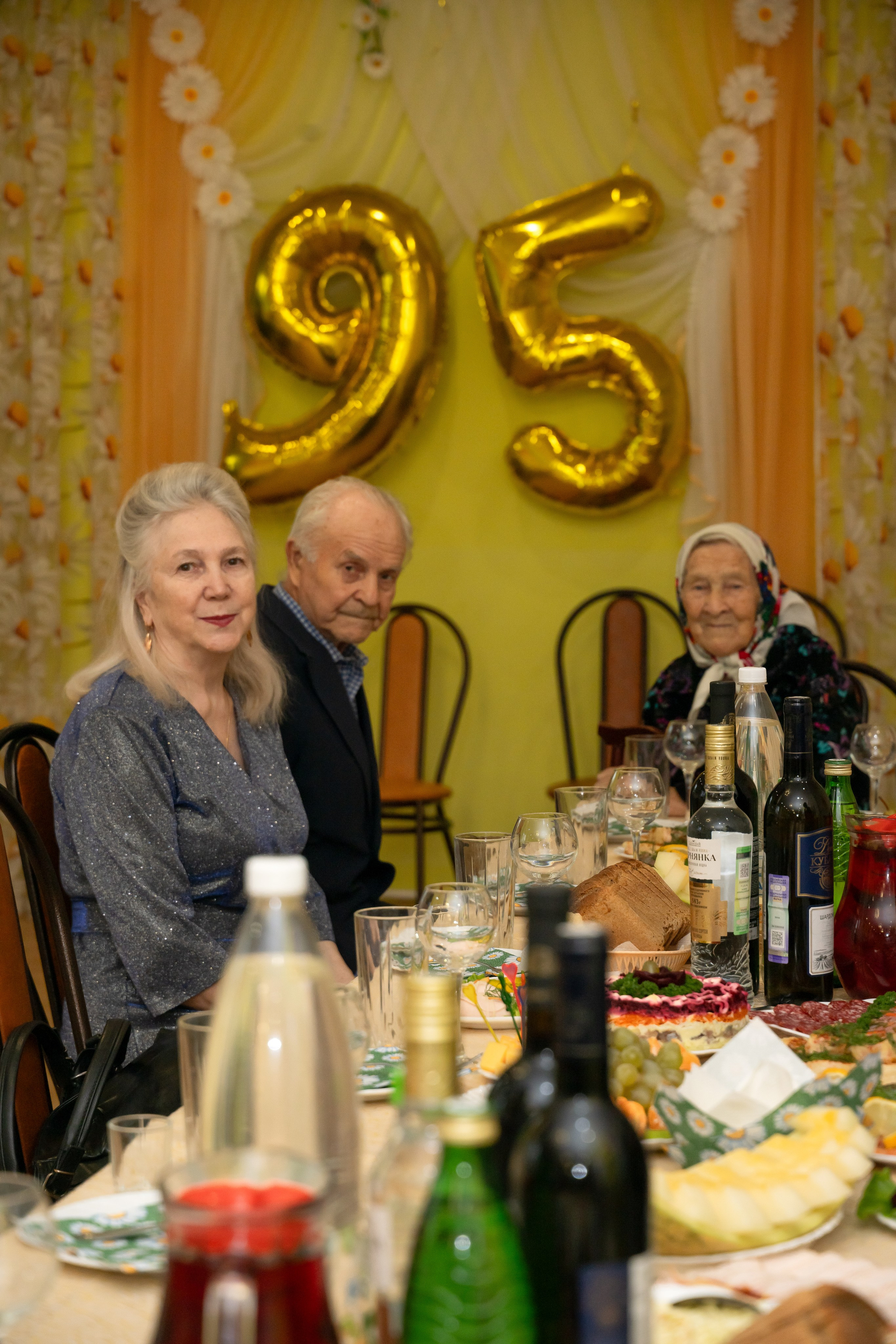 Юбилей — 95 БАБУЛЕ. Главная