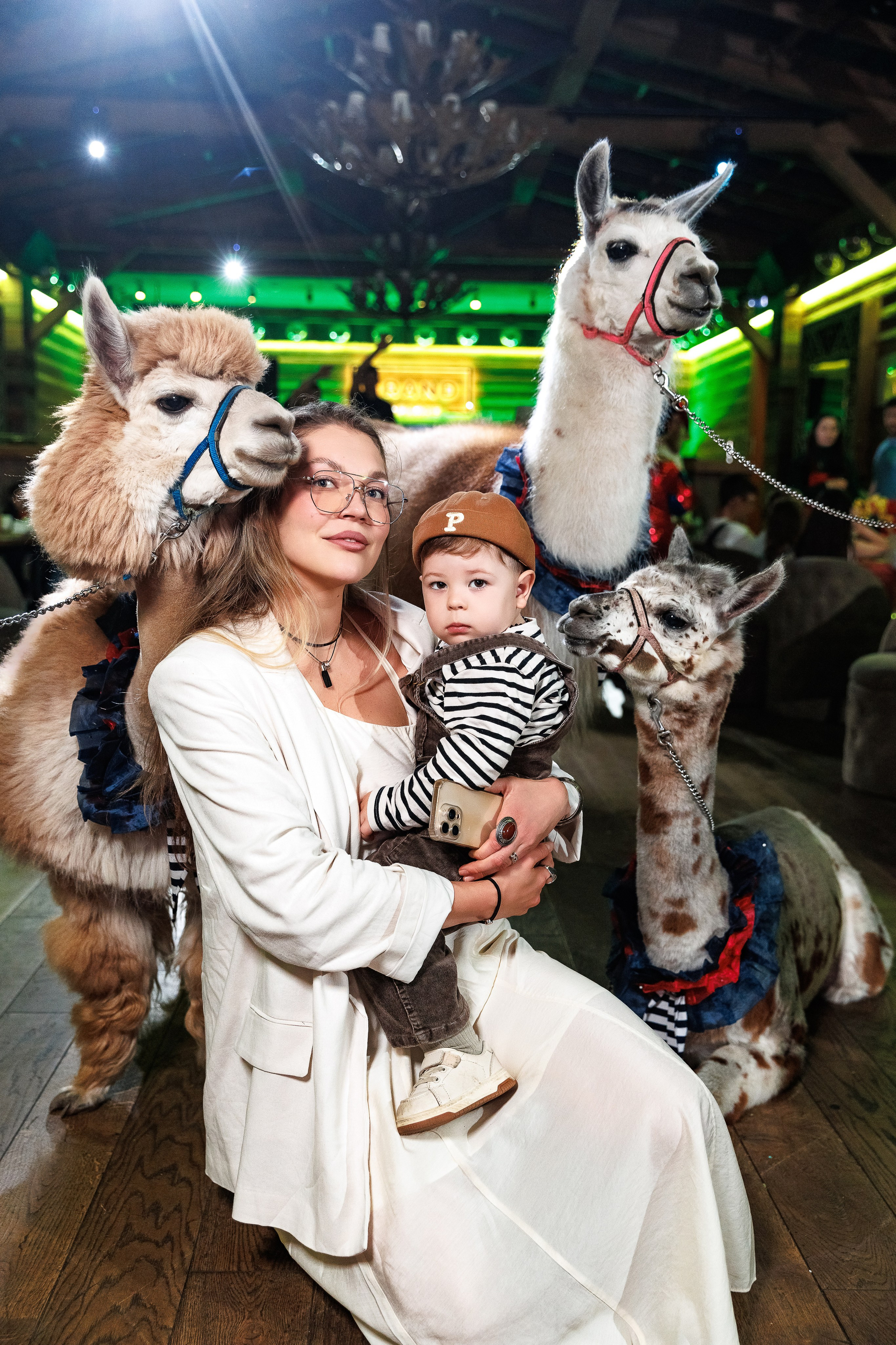 Лама и Альпака