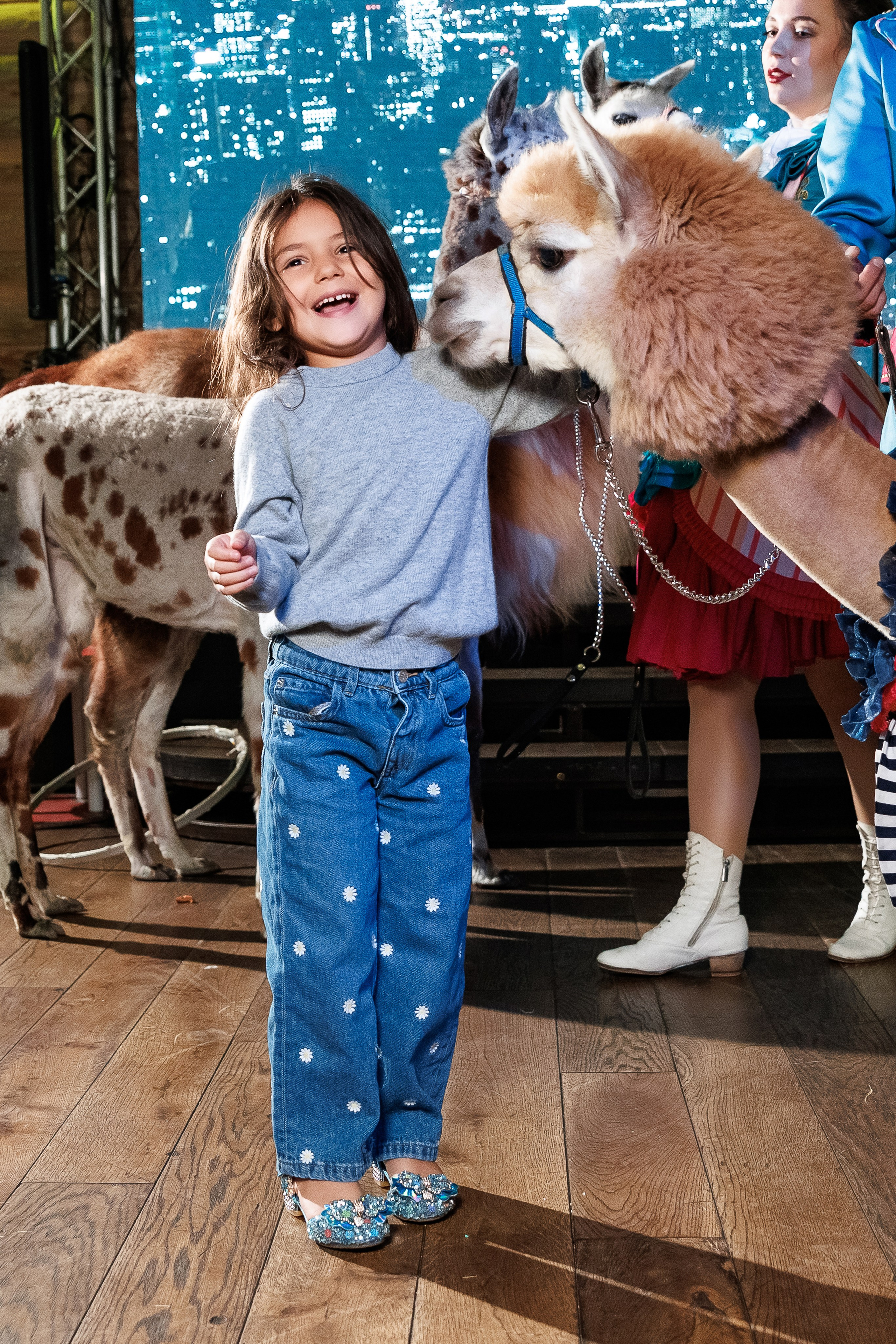 Лама и Альпака