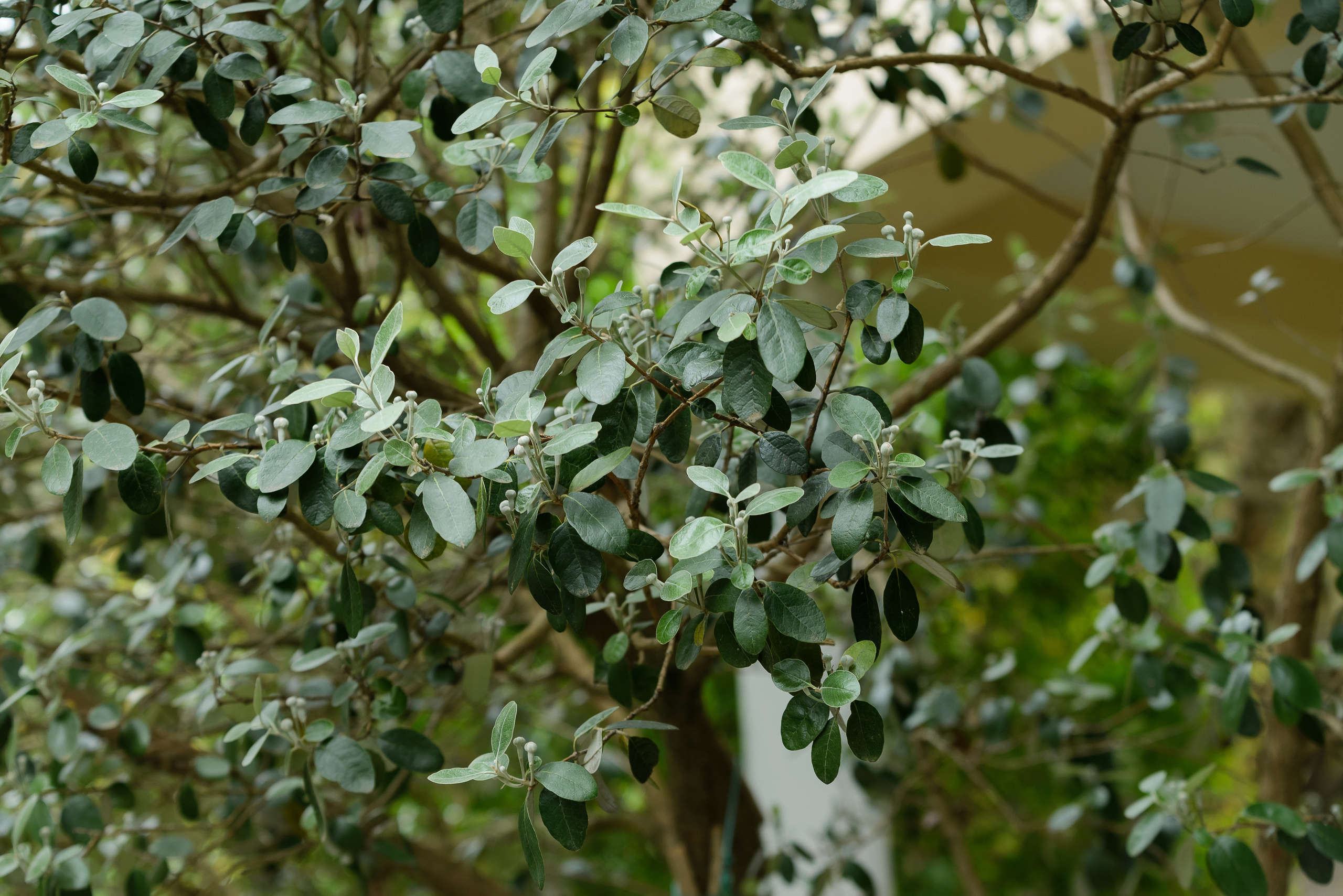 Флора, фауна, макро. Фотограф в Краснодаре Людмила Панченко