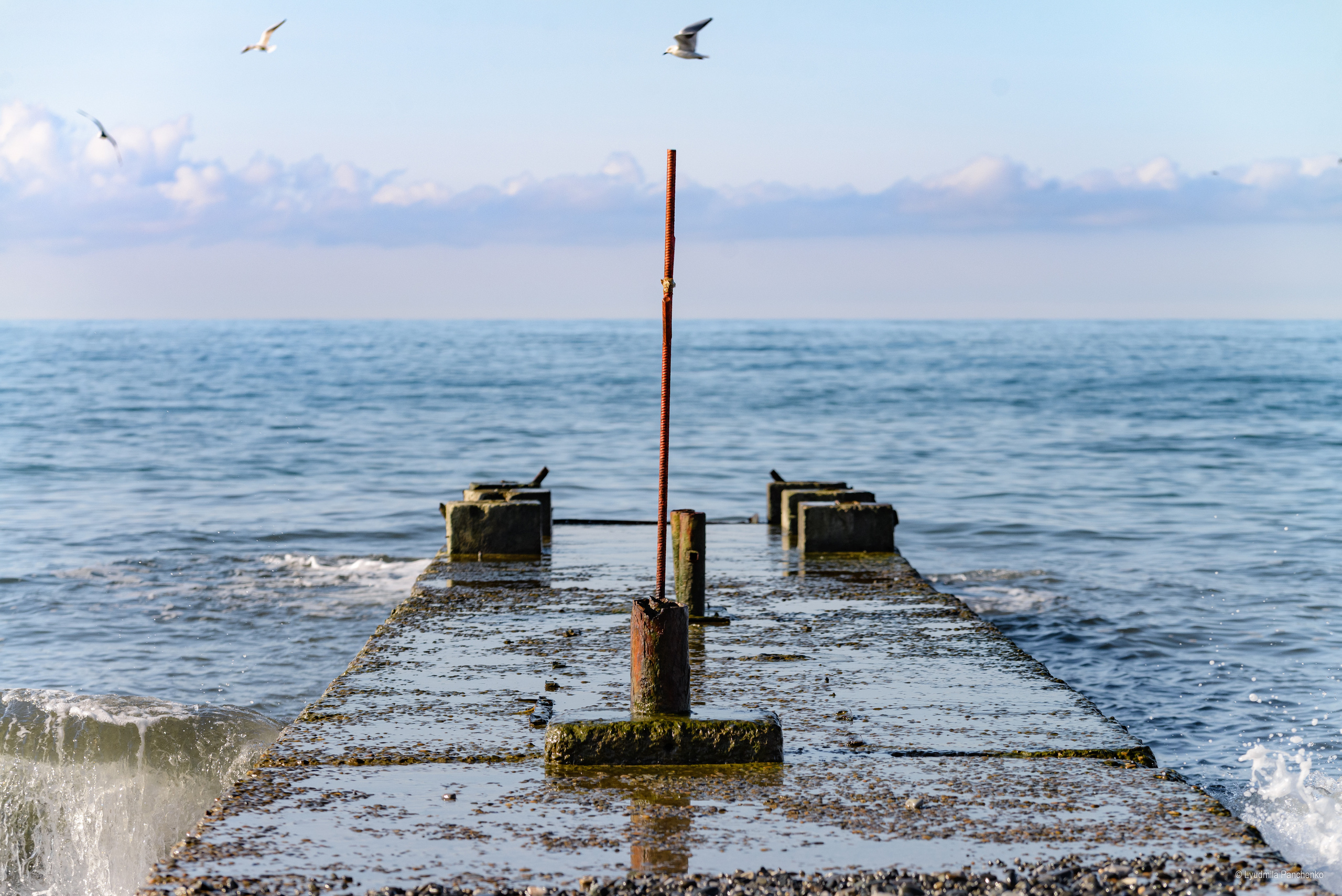 Моря, города…. Фотограф в Краснодаре Людмила Панченко