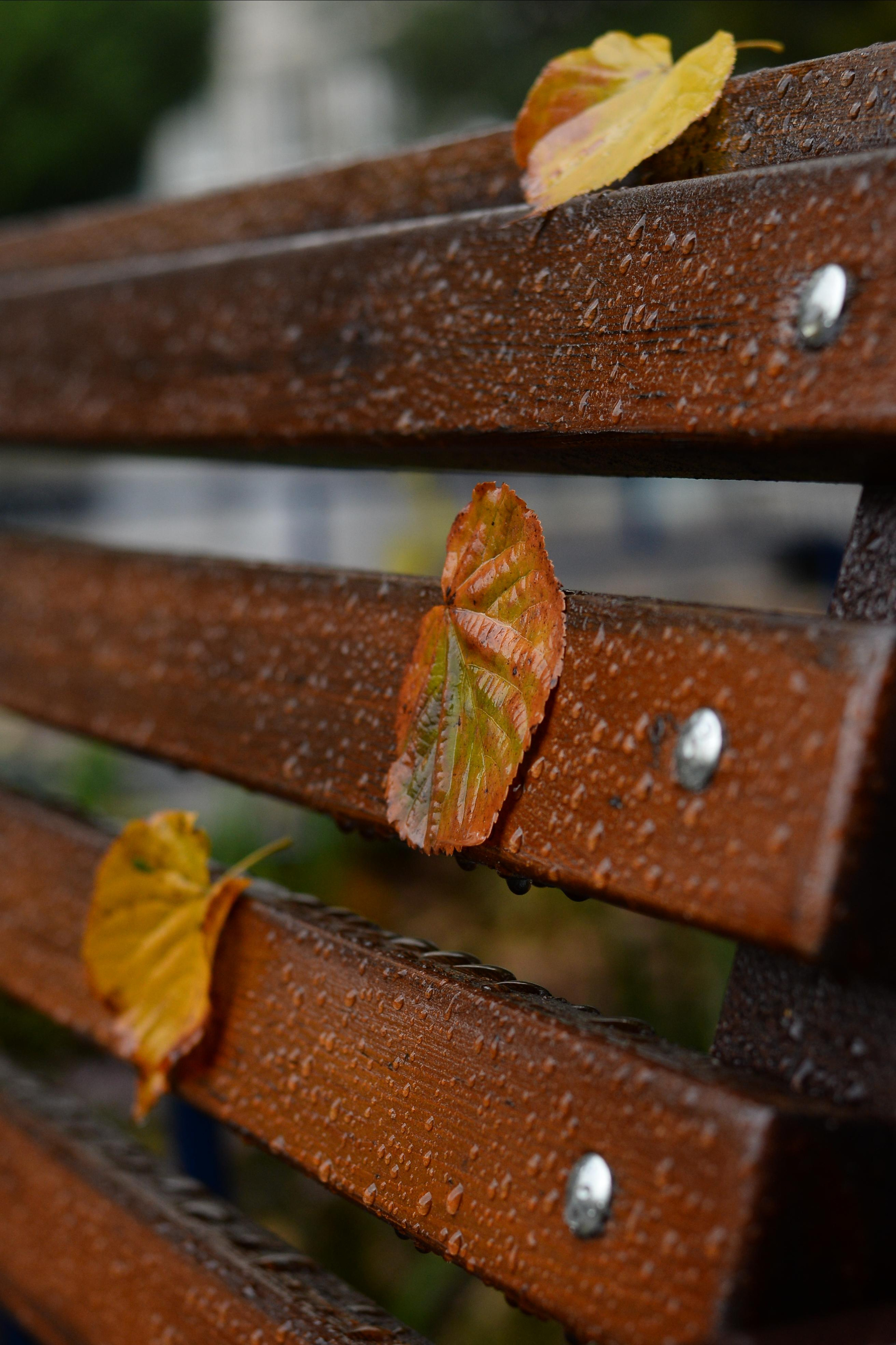 Флора, фауна, макро. Фотограф в Краснодаре Людмила Панченко