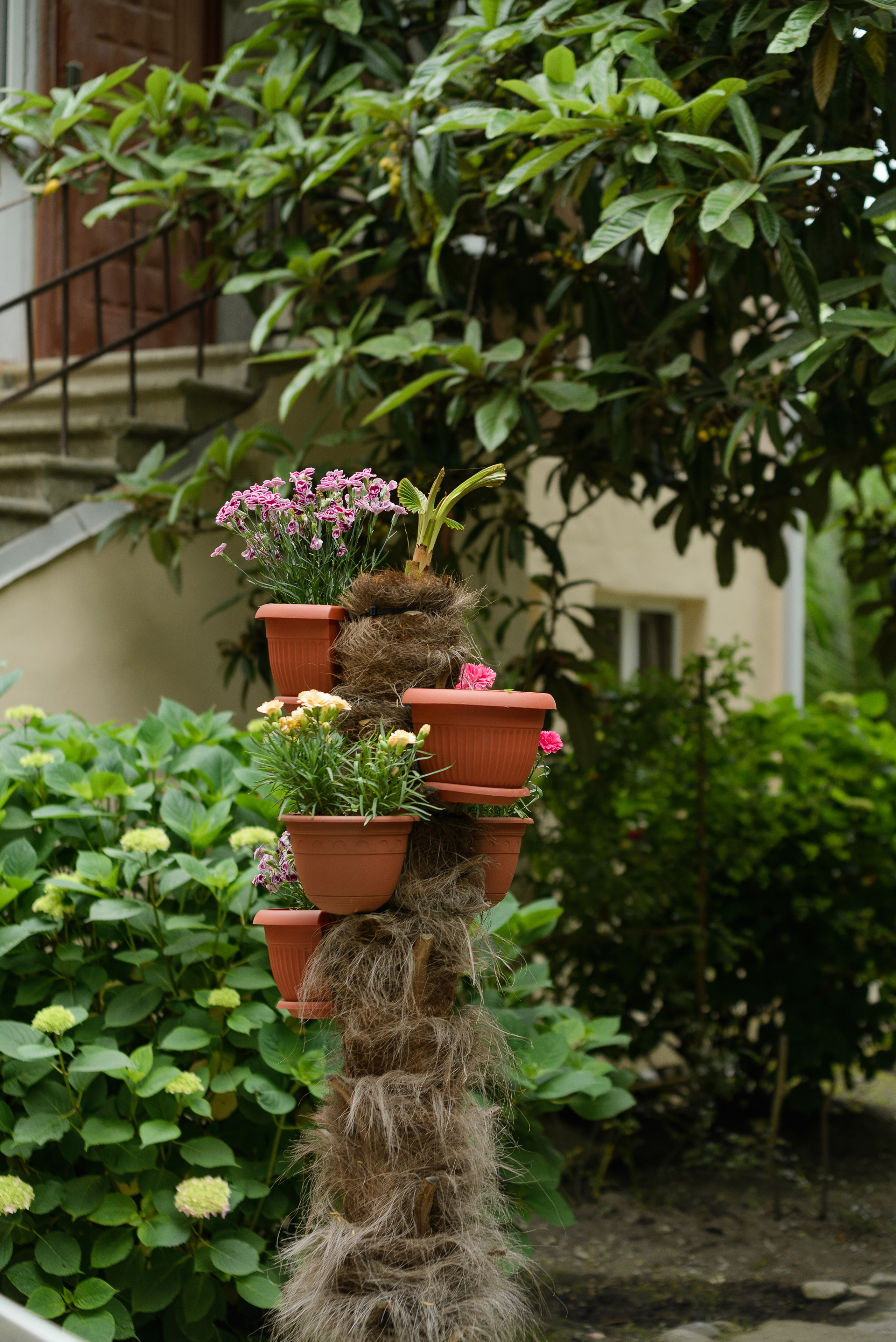 Флора, фауна, макро. Фотограф в Краснодаре Людмила Панченко