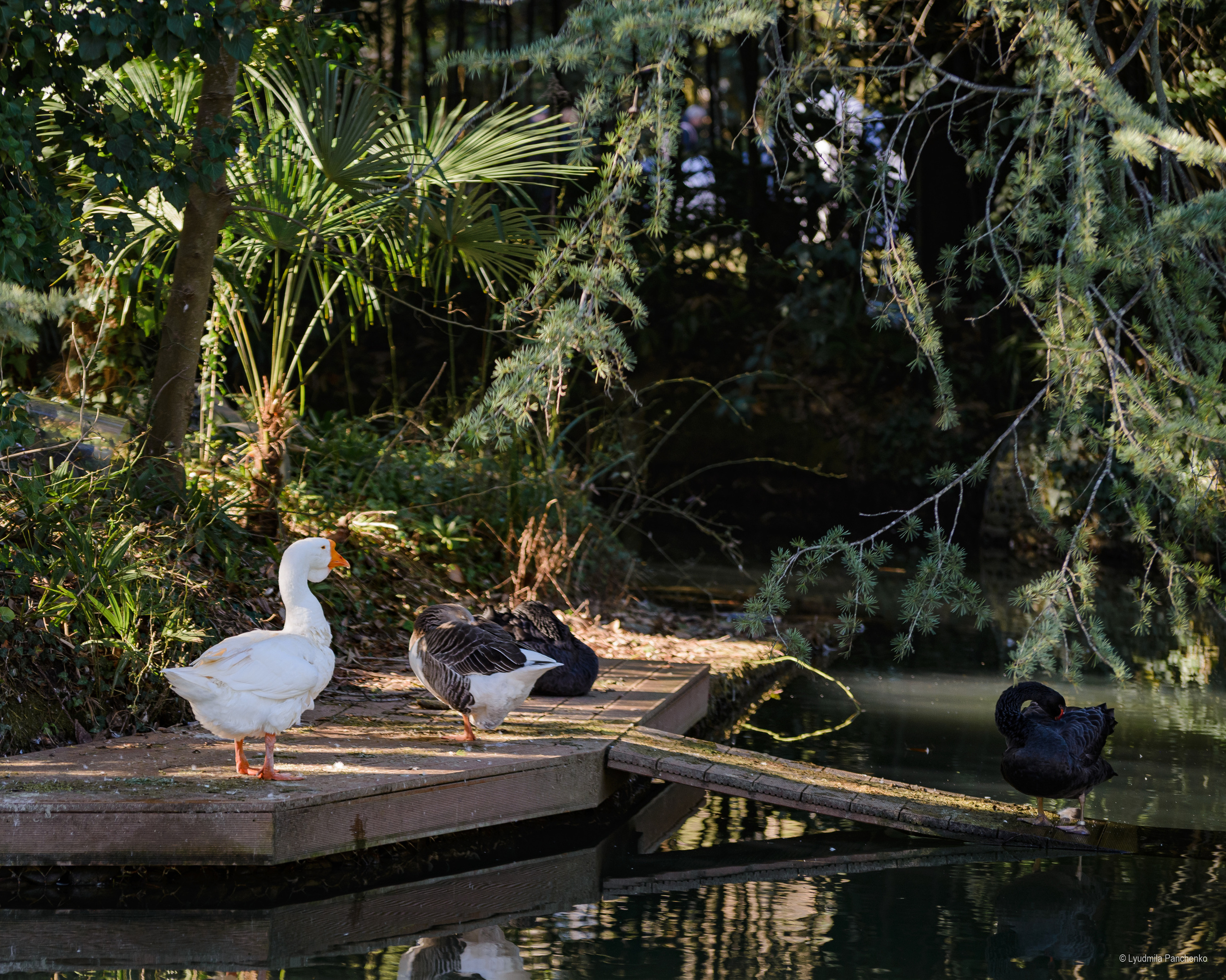 Флора, фауна, макро. Фотограф в Краснодаре Людмила Панченко