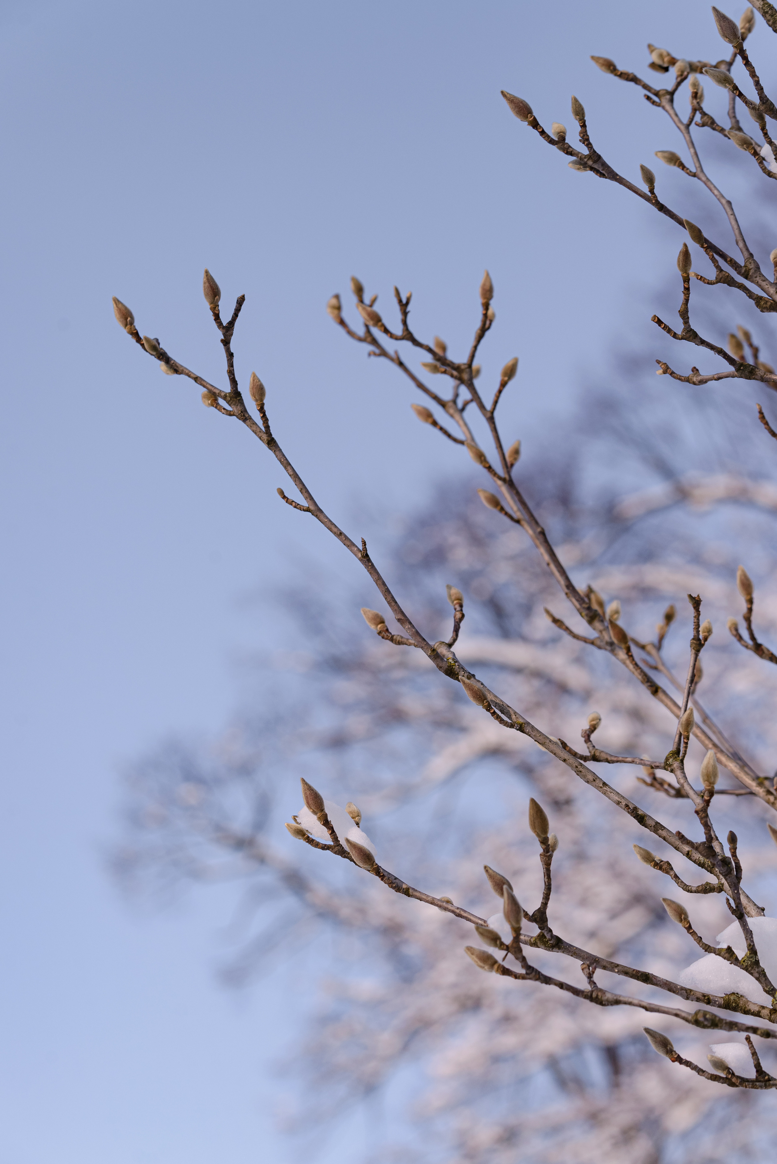 Флора, фауна, макро. Фотограф в Краснодаре Людмила Панченко
