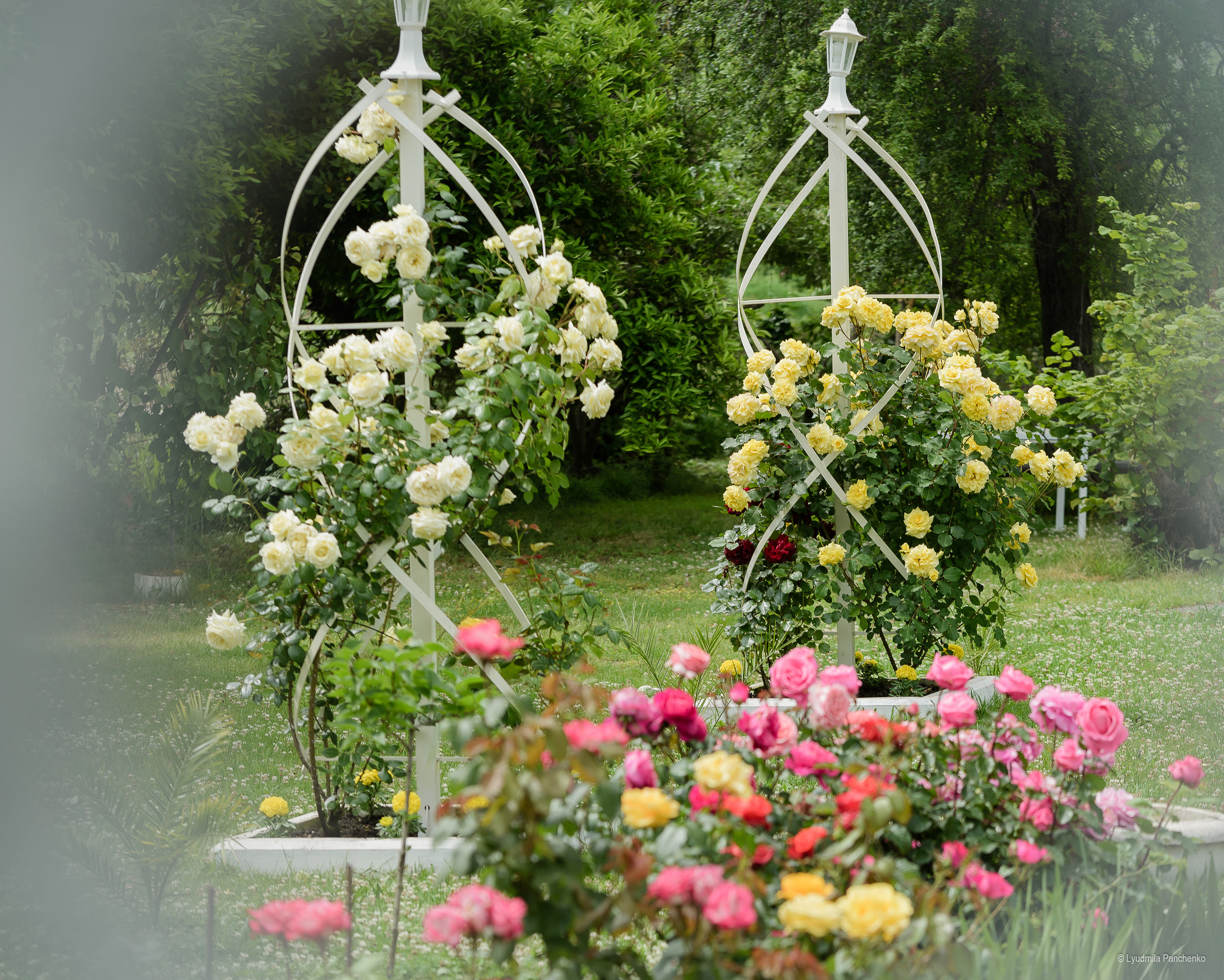 Флора, фауна, макро. Фотограф в Краснодаре Людмила Панченко