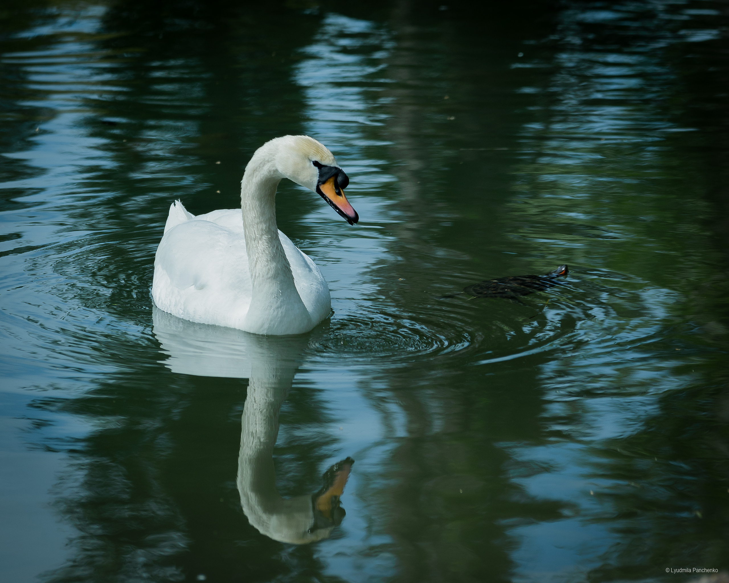 Флора, фауна, макро. Фотограф в Краснодаре Людмила Панченко