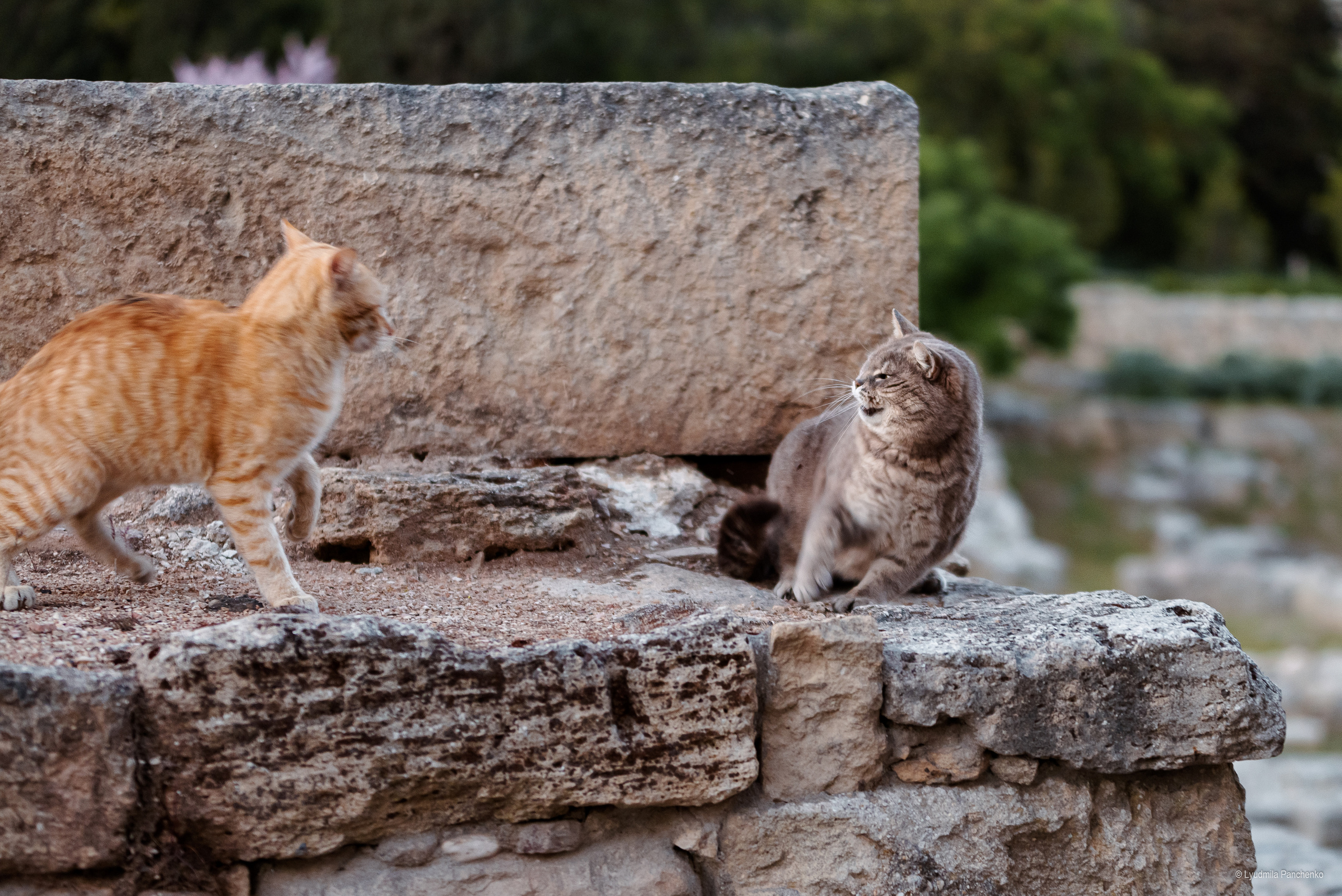 Моря, города…. Фотограф в Краснодаре Людмила Панченко
