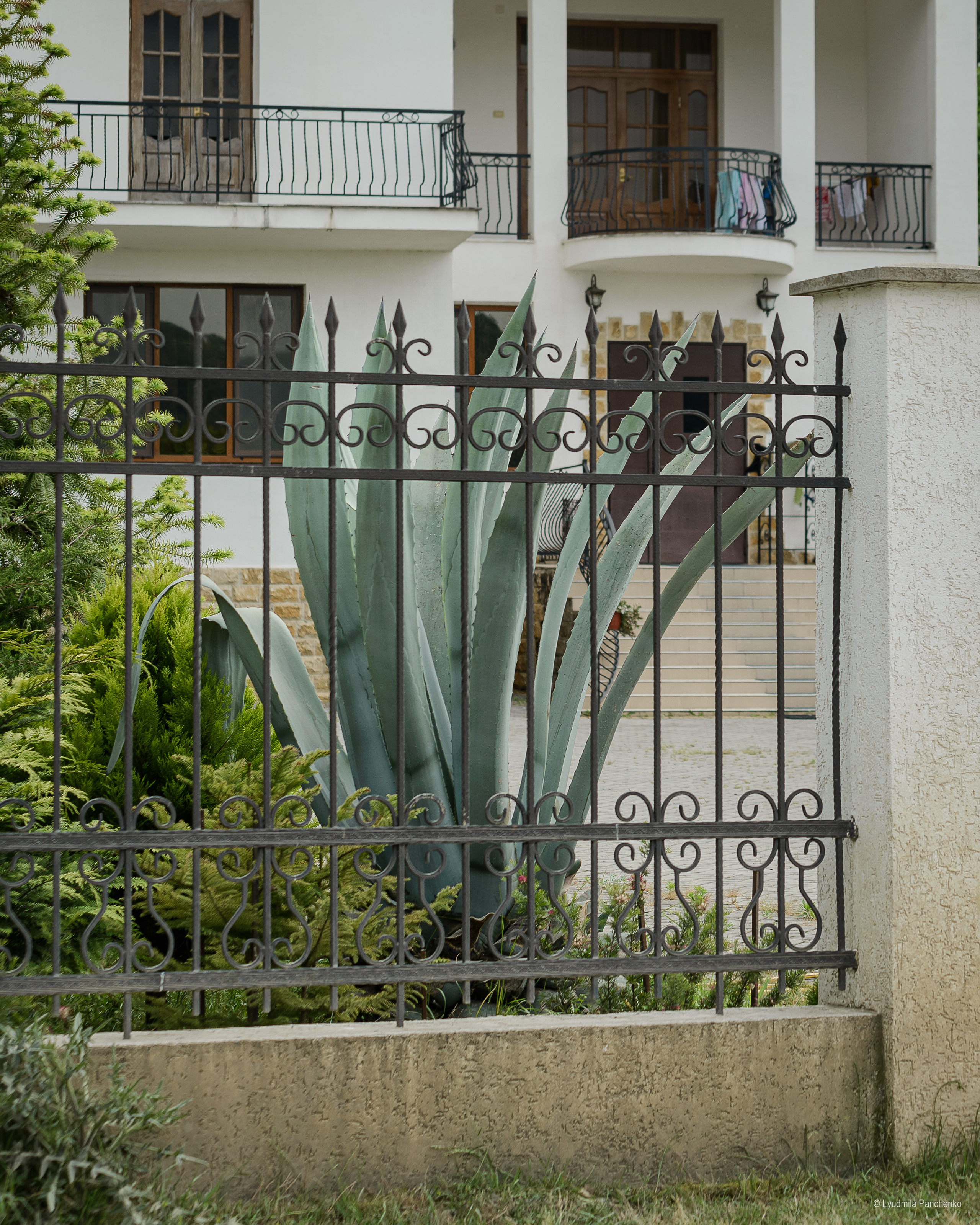 Флора, фауна, макро. Фотограф в Краснодаре Людмила Панченко