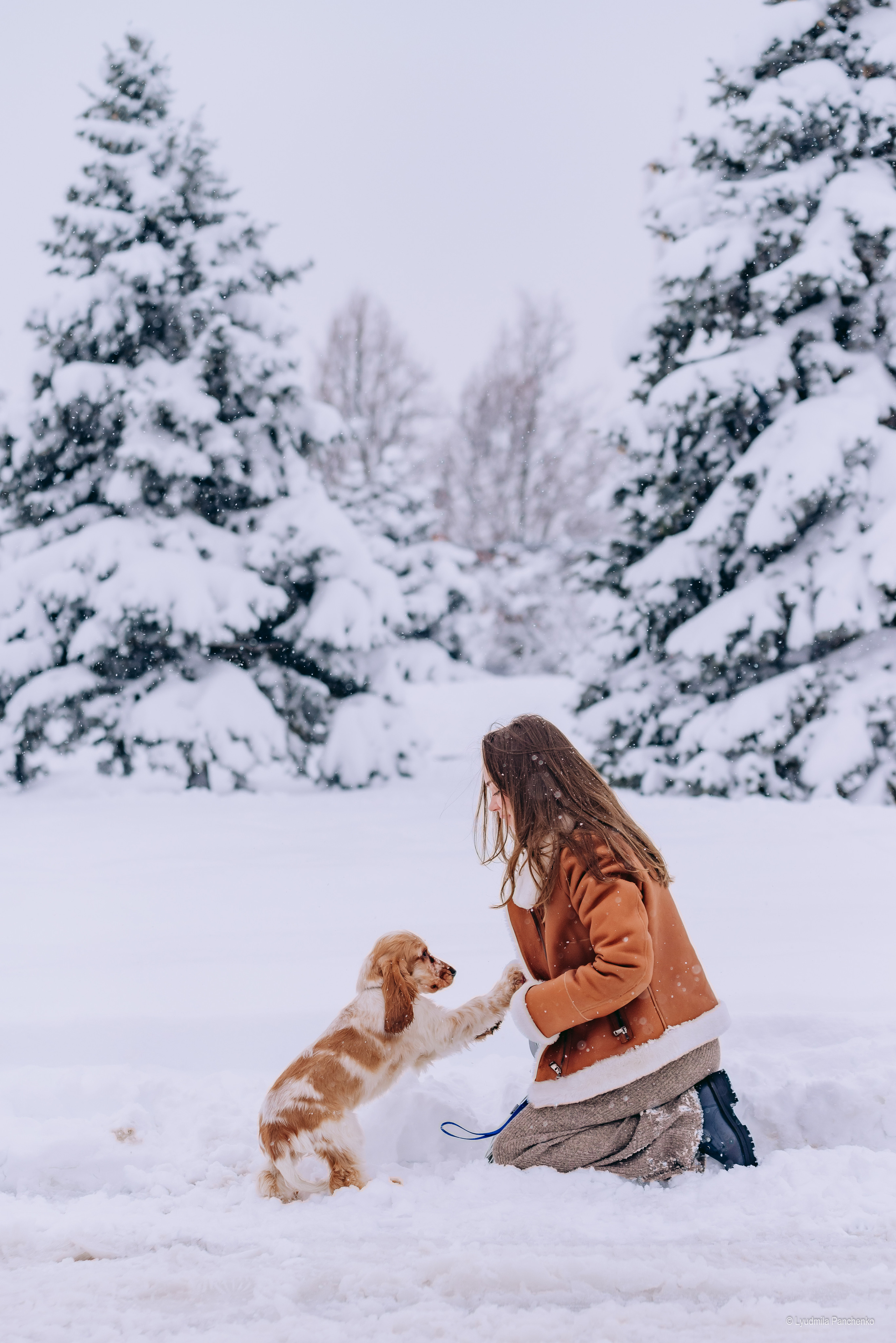 Домашние питомцы и их люди. Фотограф в Краснодаре Людмила Панченко