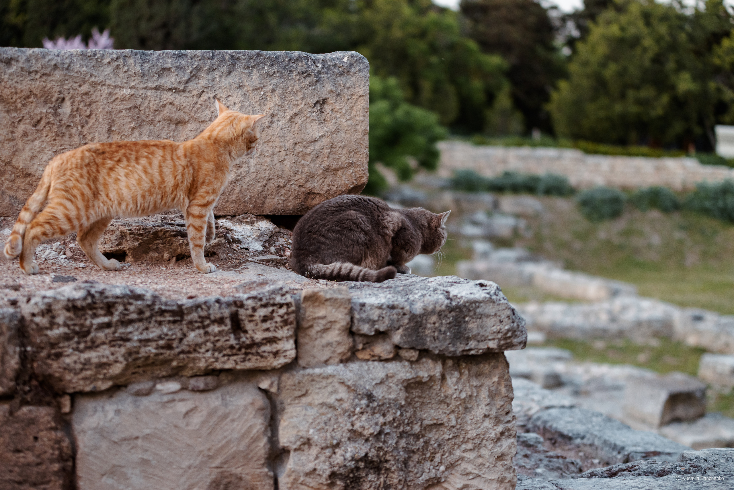Моря, города…. Фотограф в Краснодаре Людмила Панченко