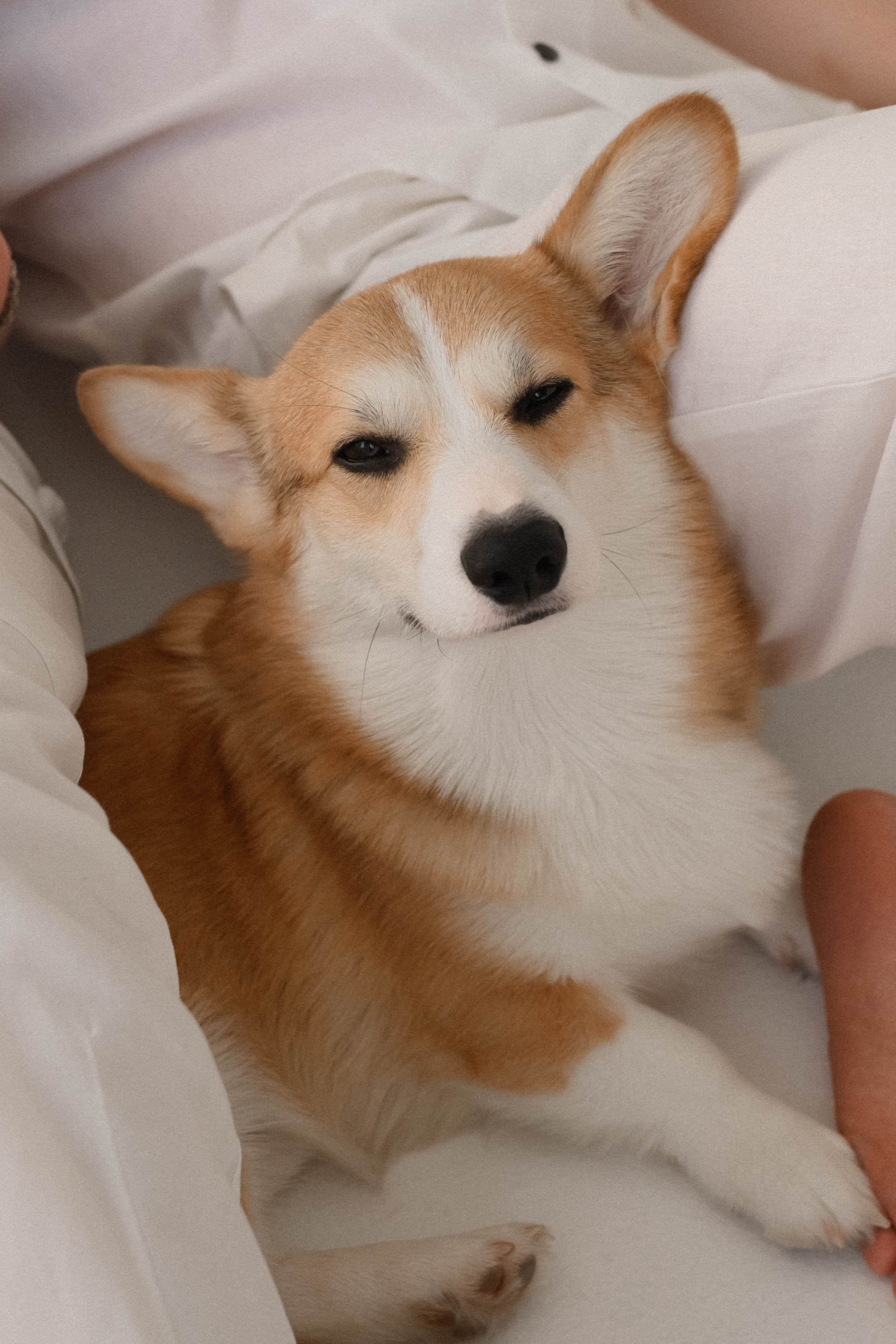 Любим. Свадебный и семейный фотограф в Казани Диана Портнова