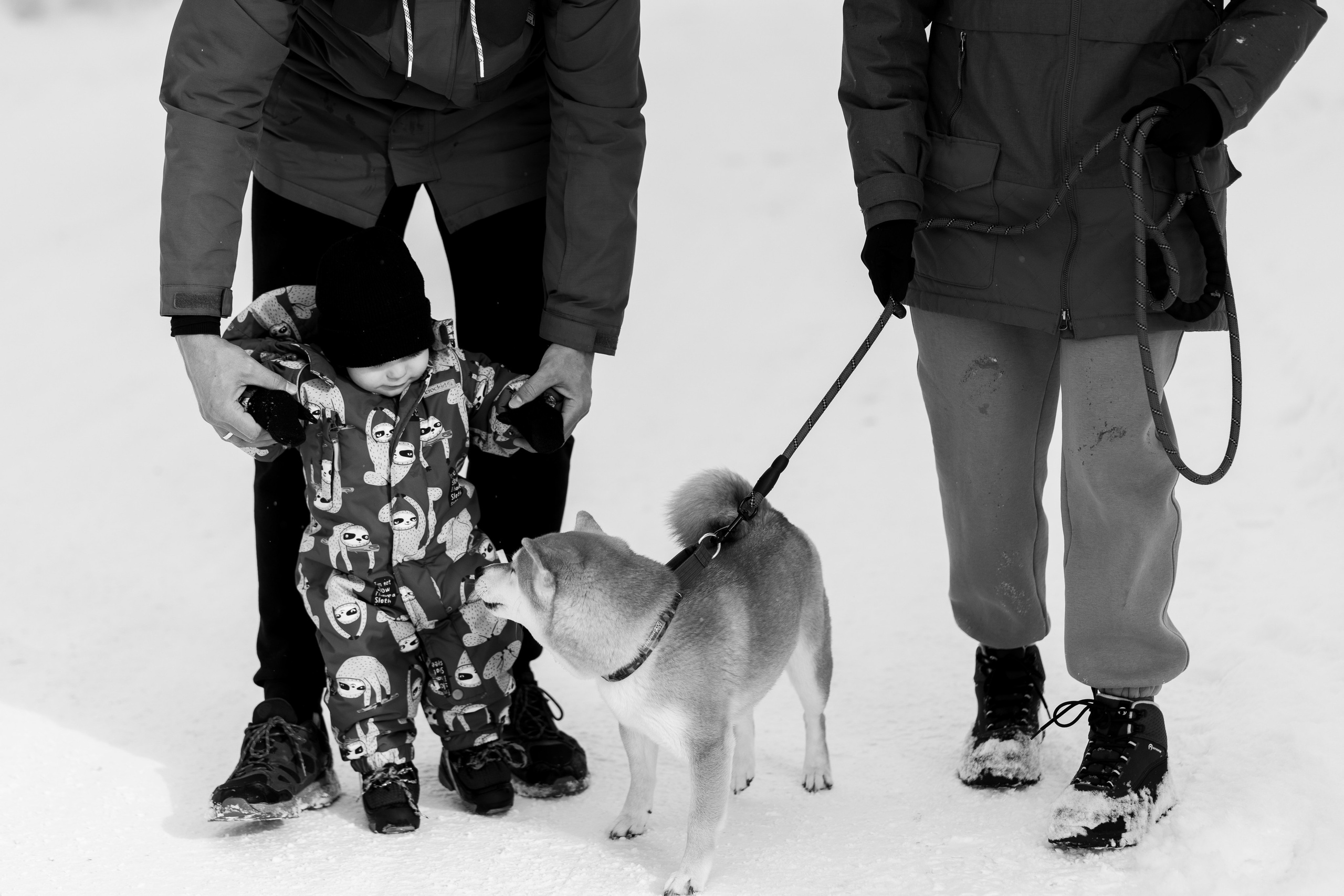 Соня&Лёня. Анастасия Паршукова — фотограф Шерегеш Новосибирск