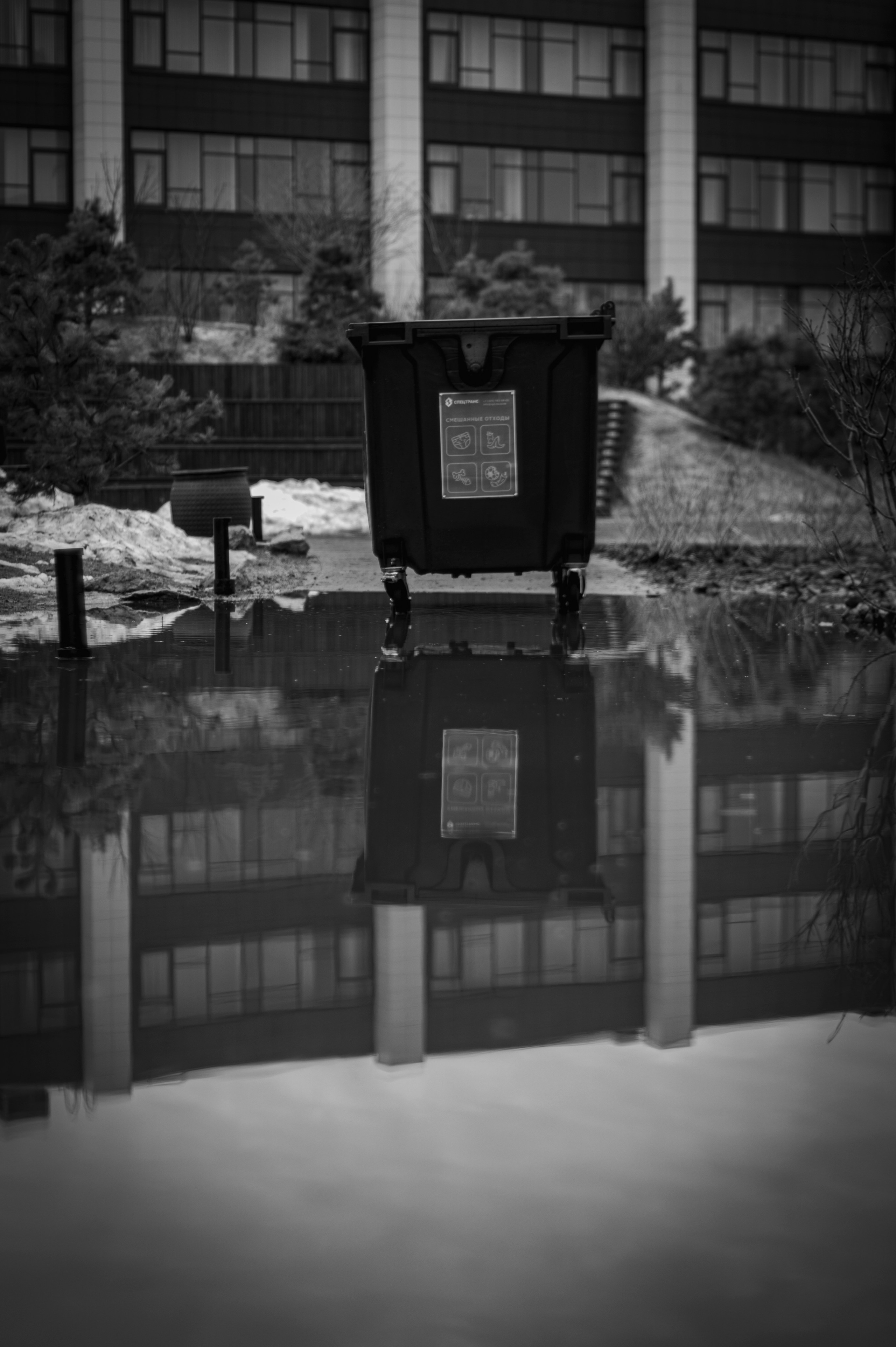 Фотопрогулка апрель 2022. Фотограф Роман Адлер