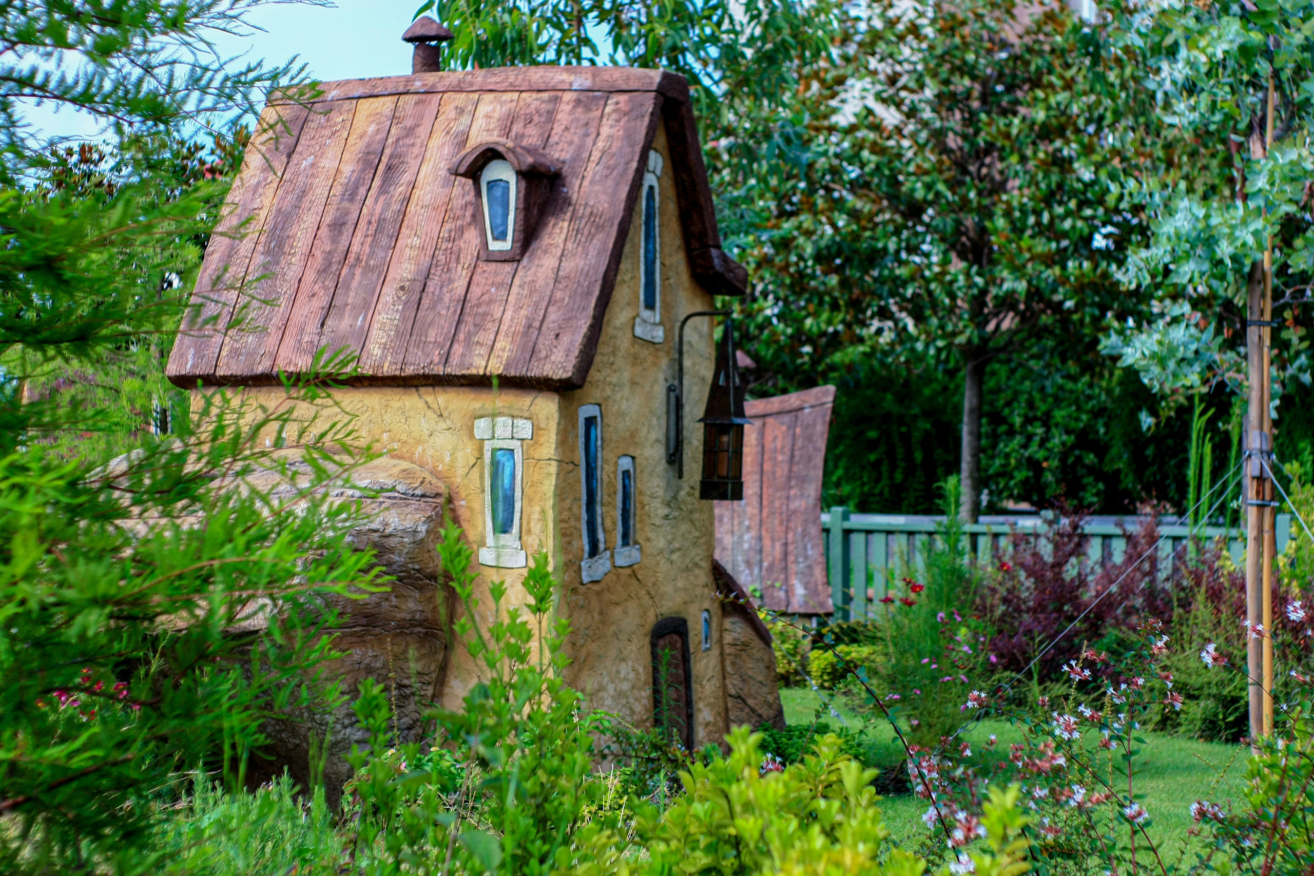 Первые кадры. Сочи — парк. Фотограф Роман Адлер