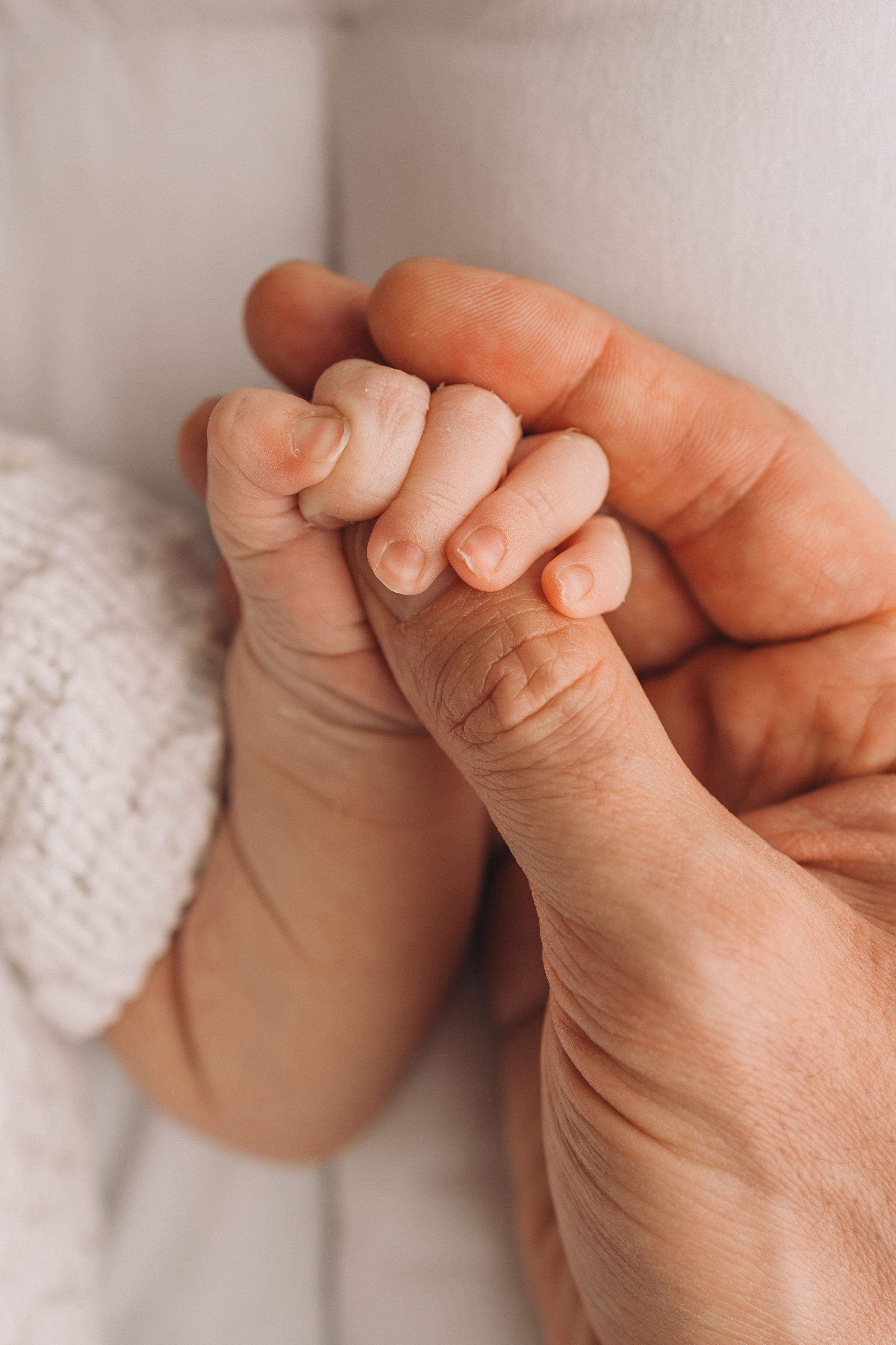 Лев 7 дней. Фотограф новорождённых Newborn Москва