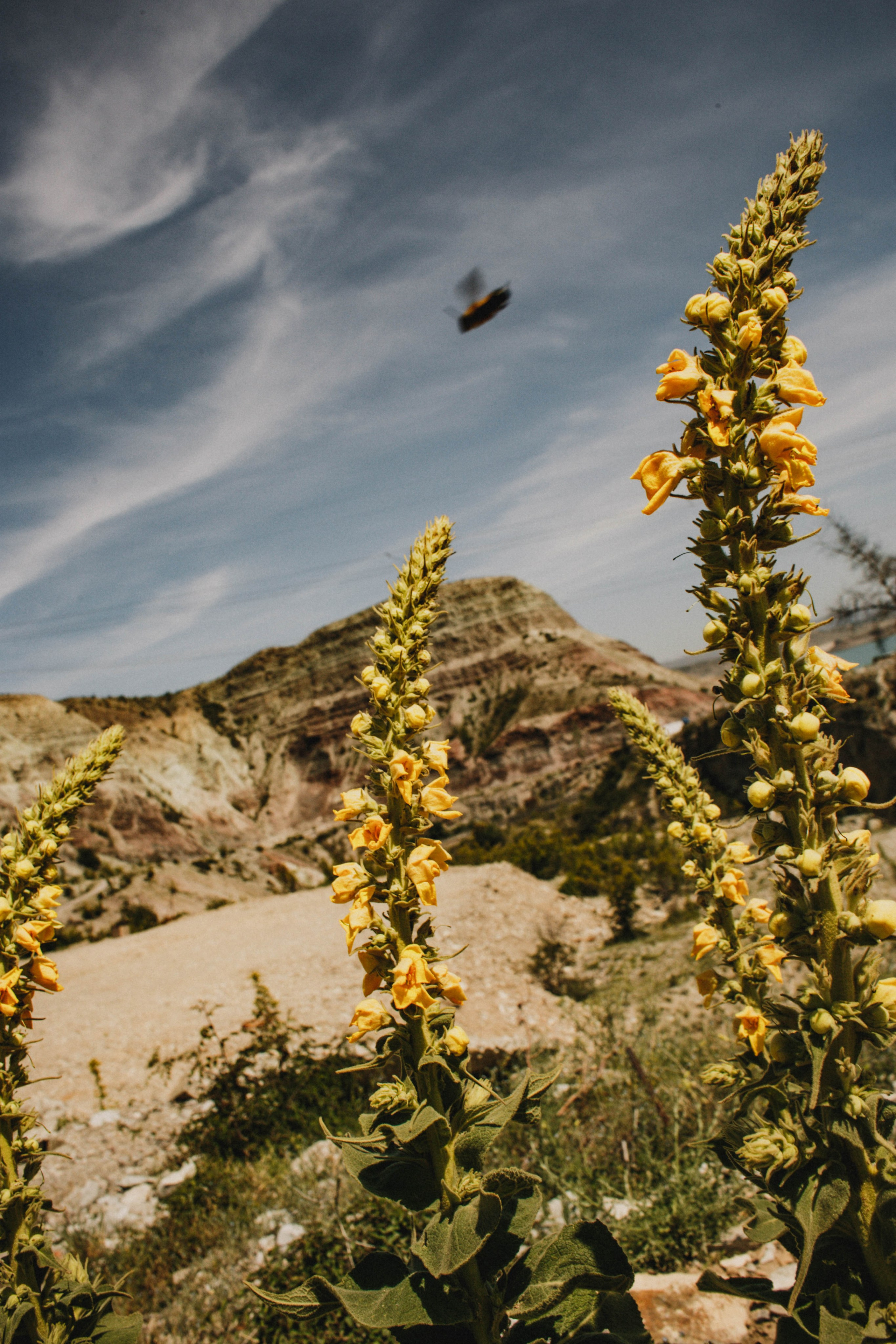 Дагестан. Чечня. 2024. Фотограф в Нижнем Новгороде