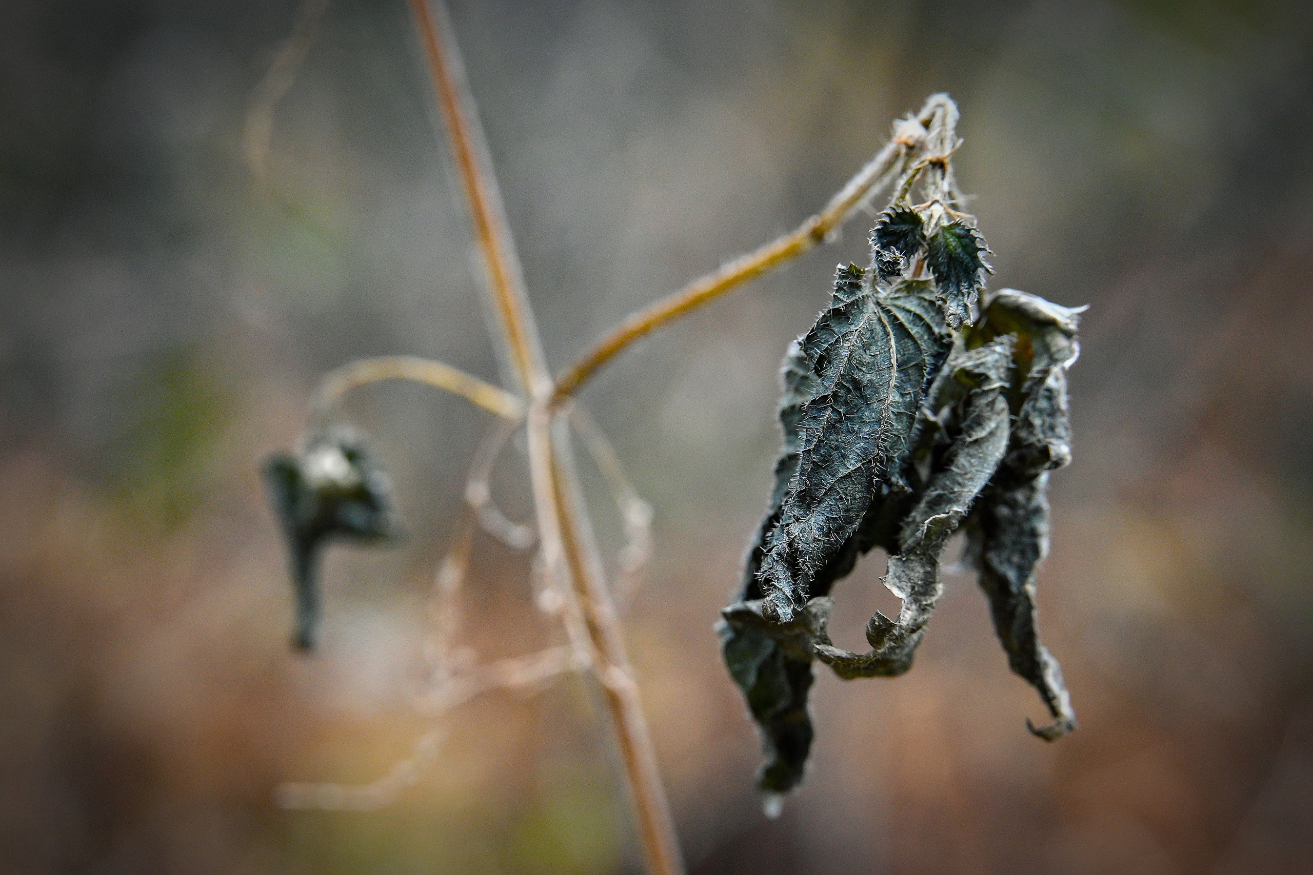 Осень. FotoGraf