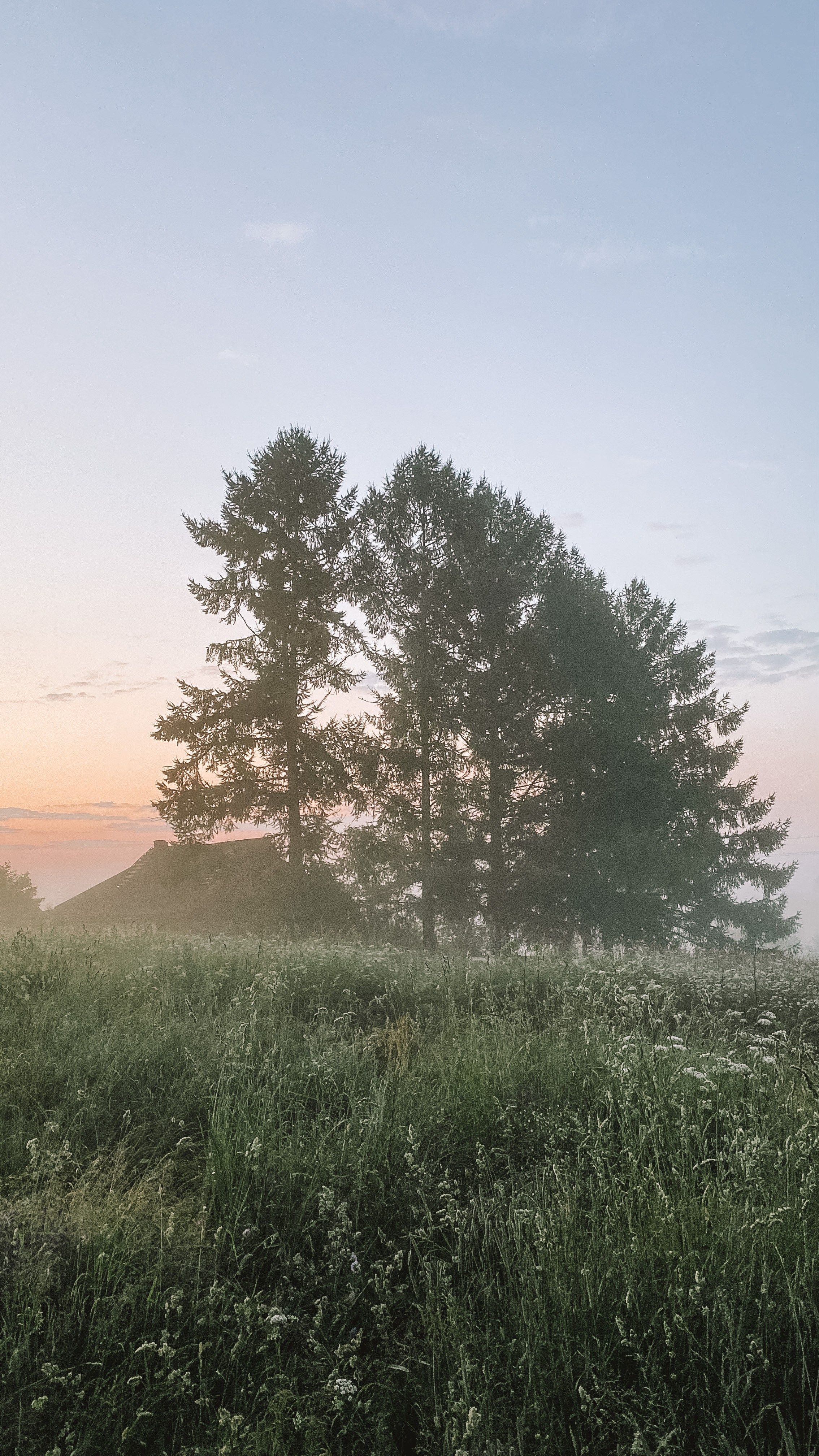 Природа. Фотограф Ольга Мурзина