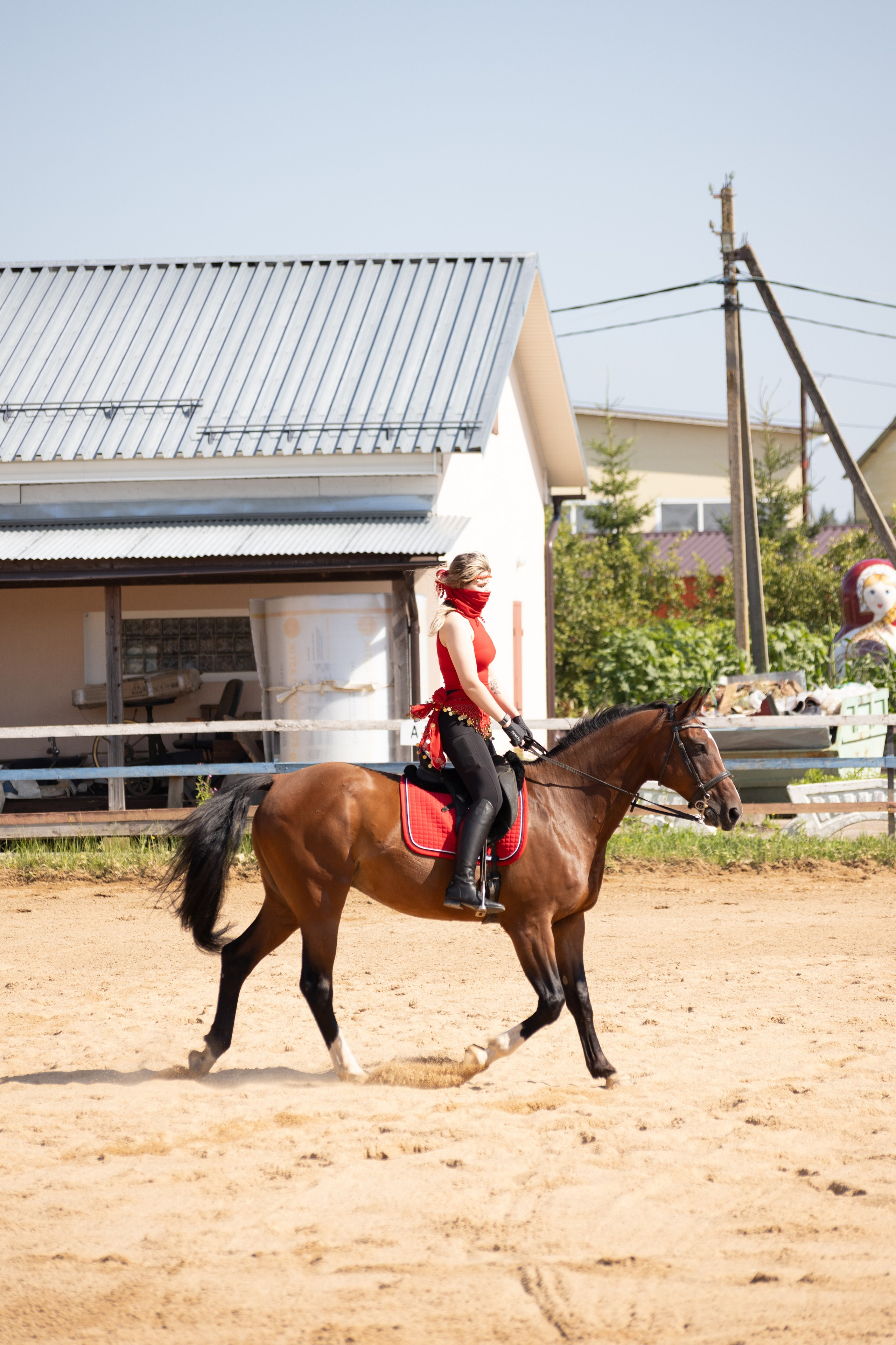 Конюшня. Фотограф в Москве и Истре